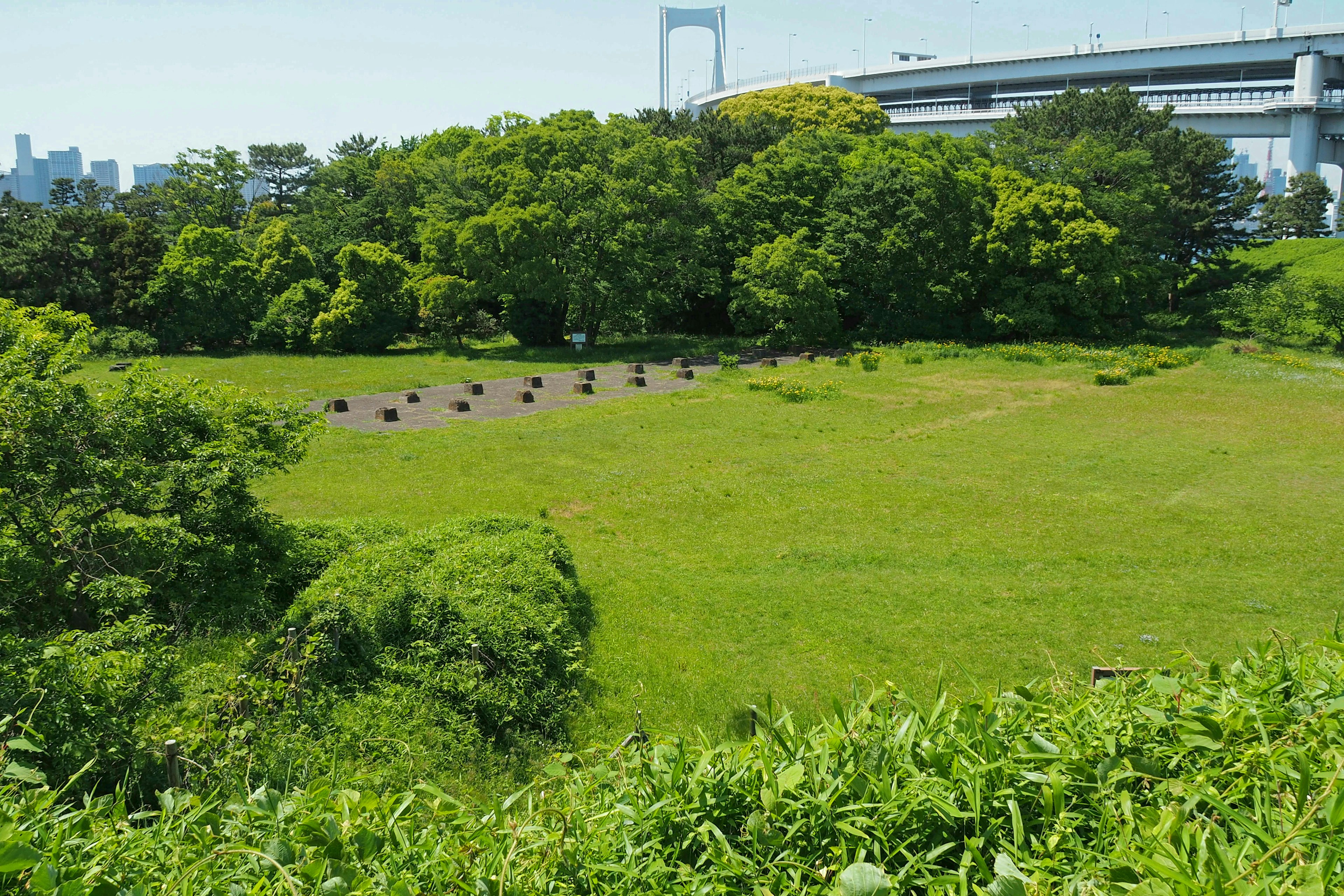 Lush green field with trees and a bridge in the distance