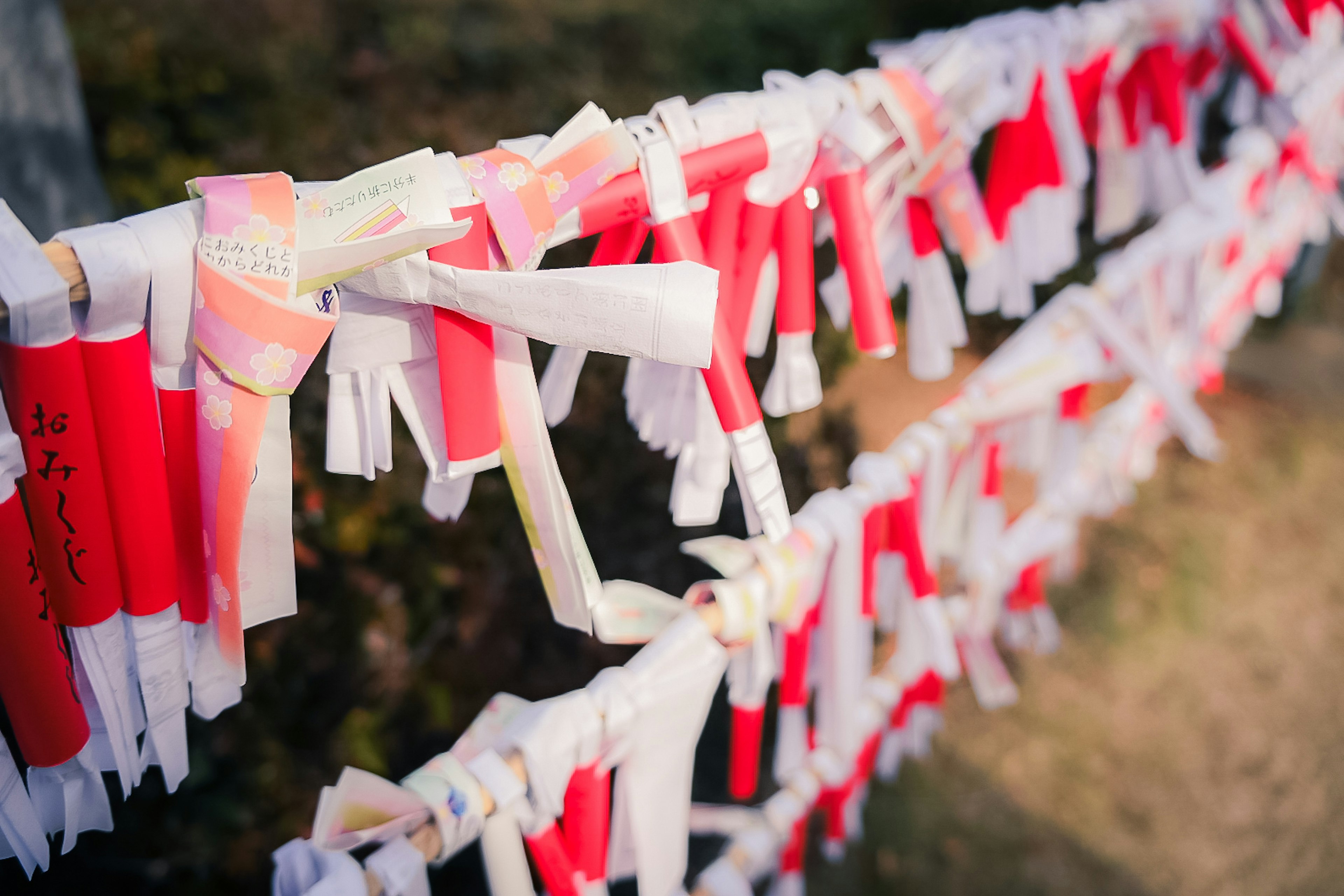 Close-up of red and white ribbons tied together