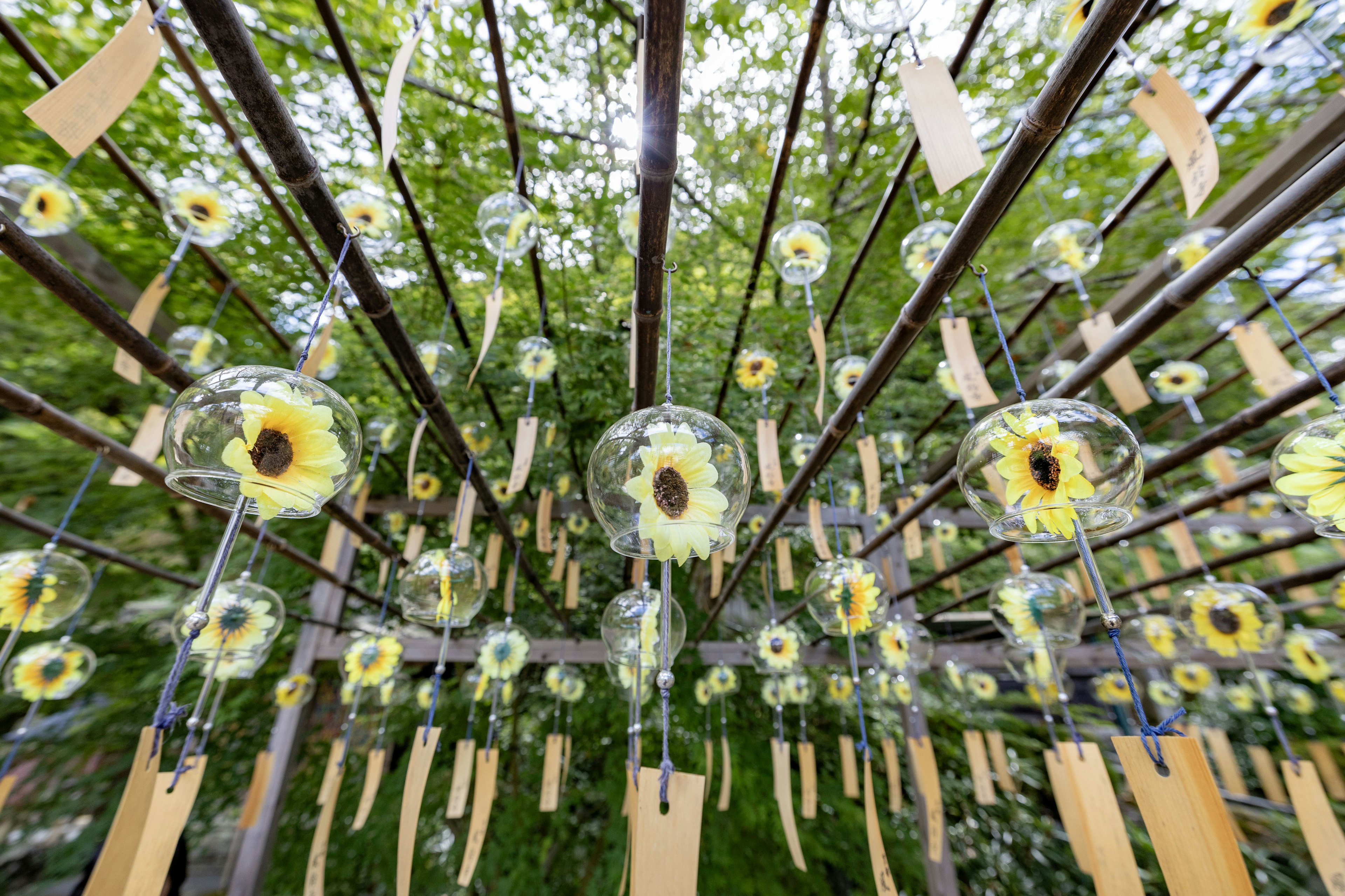 Colorful wind chimes hanging in a lush green space