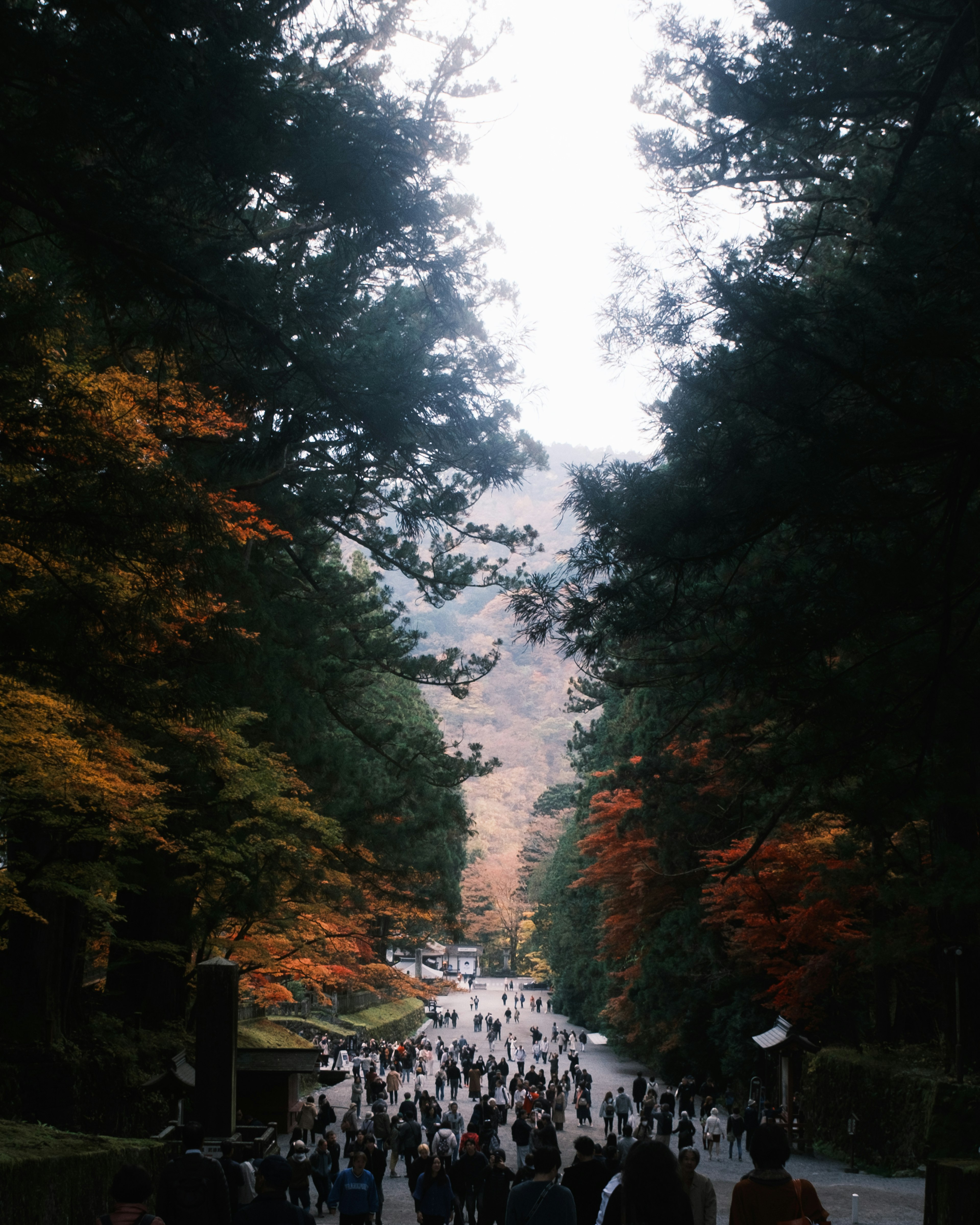 People walking on a mountain path adorned with beautiful autumn foliage