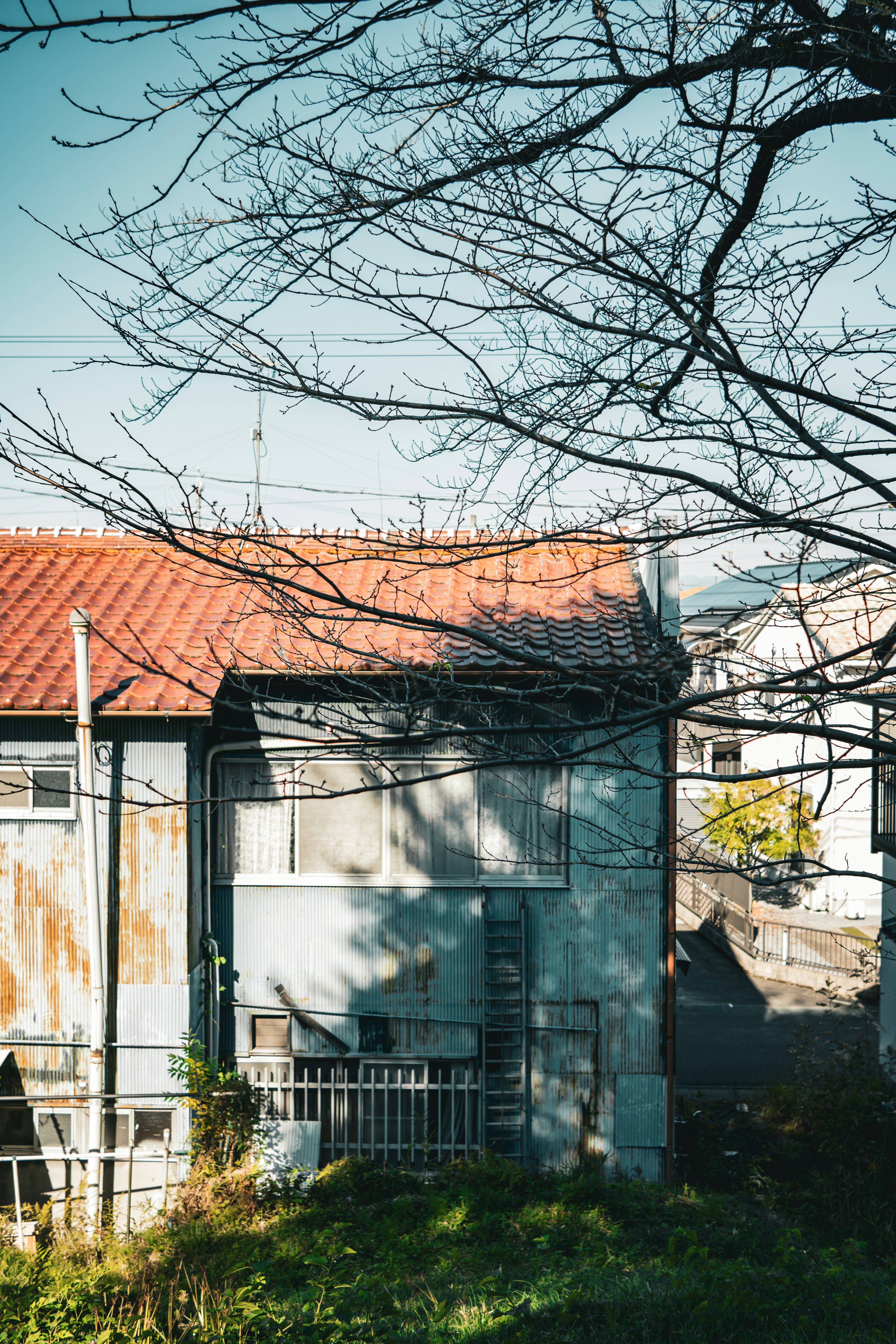 Une vieille maison avec un toit rouillé et des ombres d'arbres