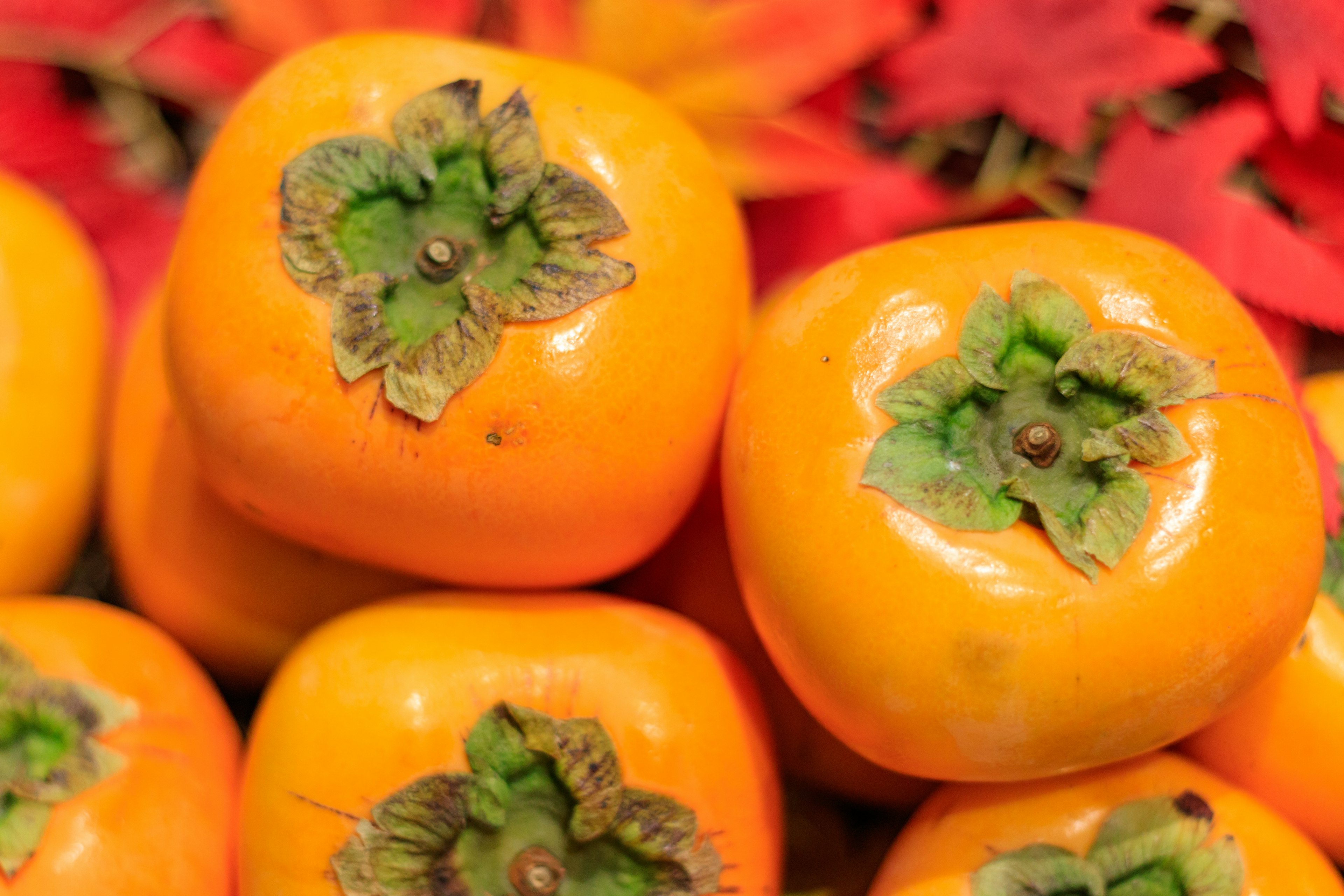 Persimonas naranjas maduras apiladas sobre hojas de otoño coloridas