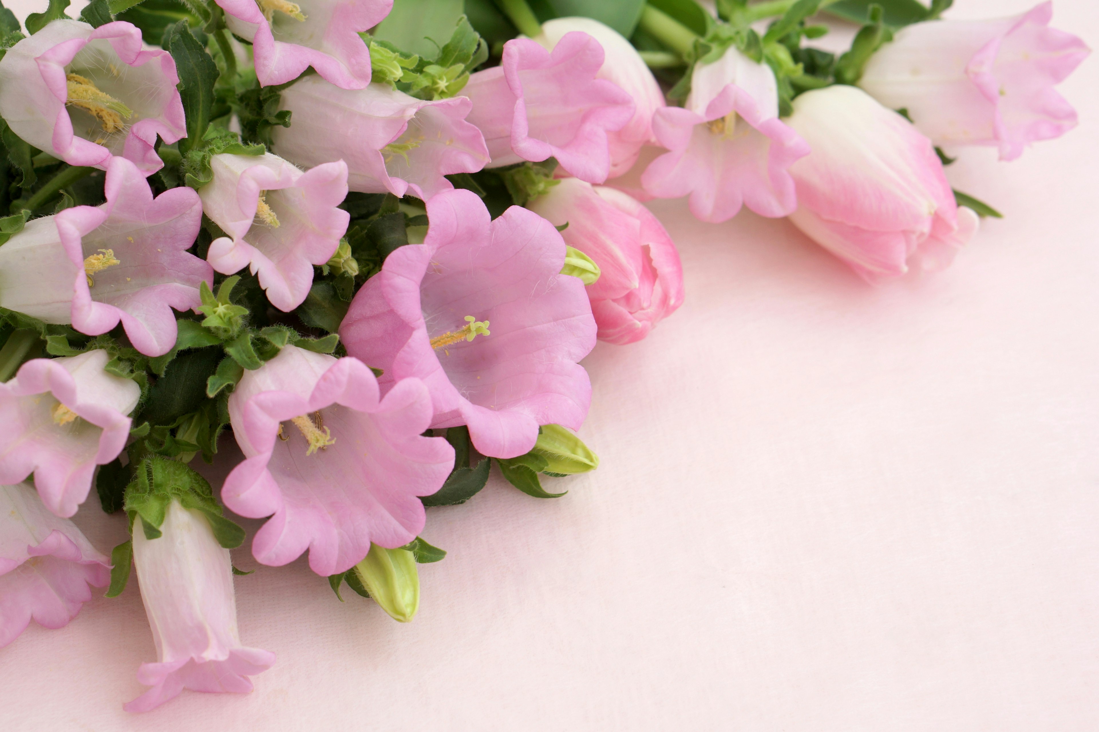 A bouquet of pink flowers including bellflowers and roses