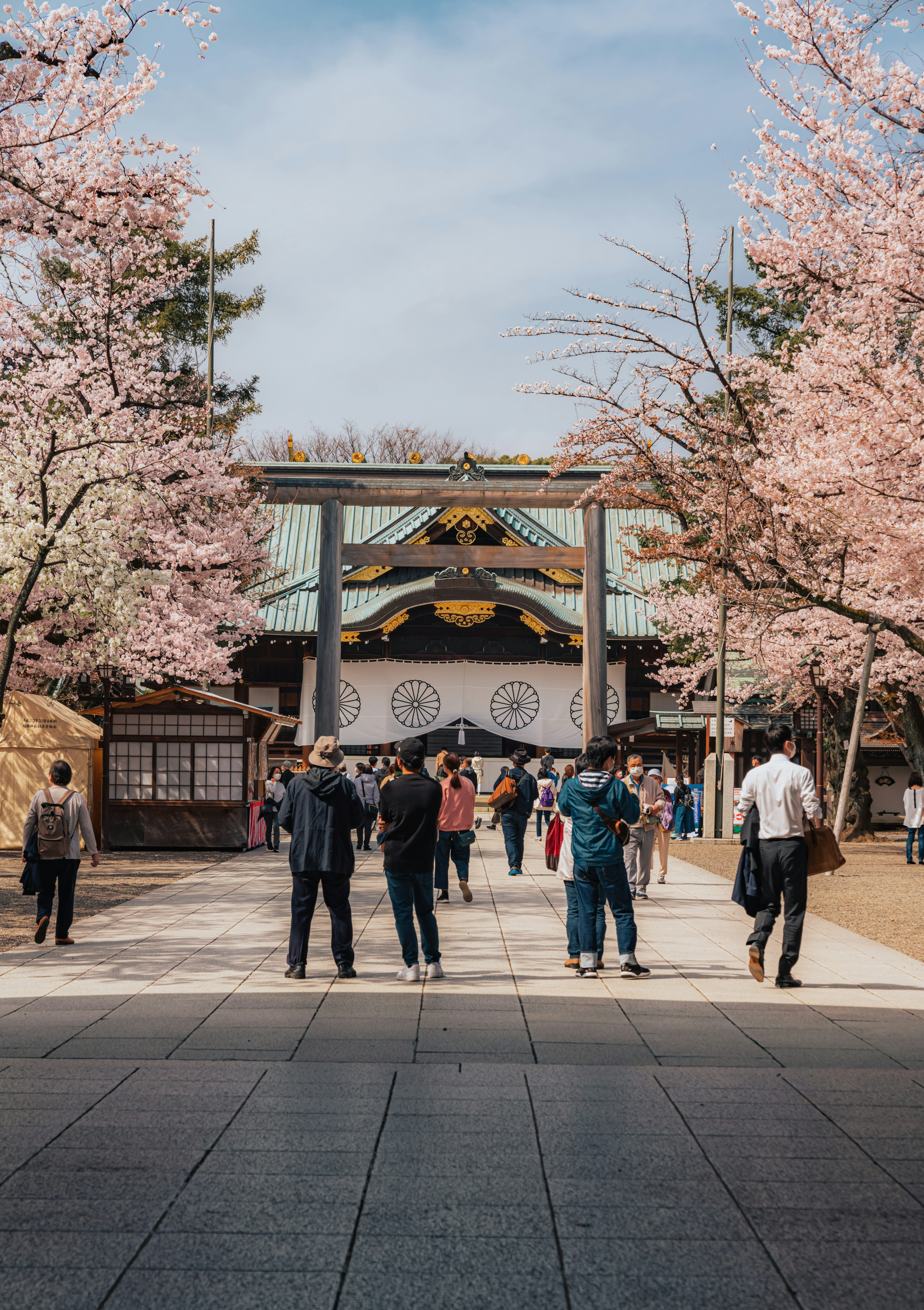 人們聚集在被櫻花樹環繞的神社入口