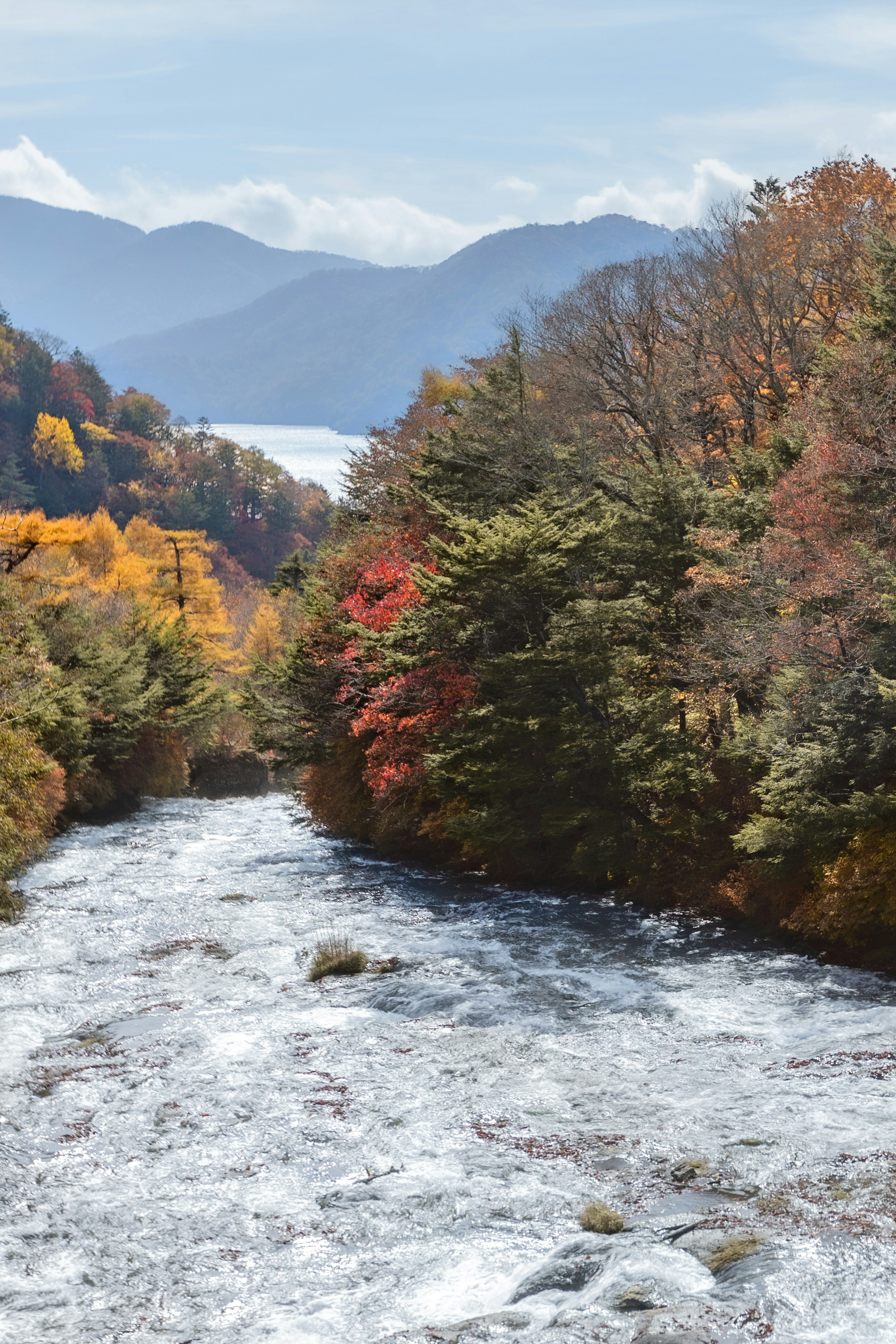 川と秋の木々が彩る風景