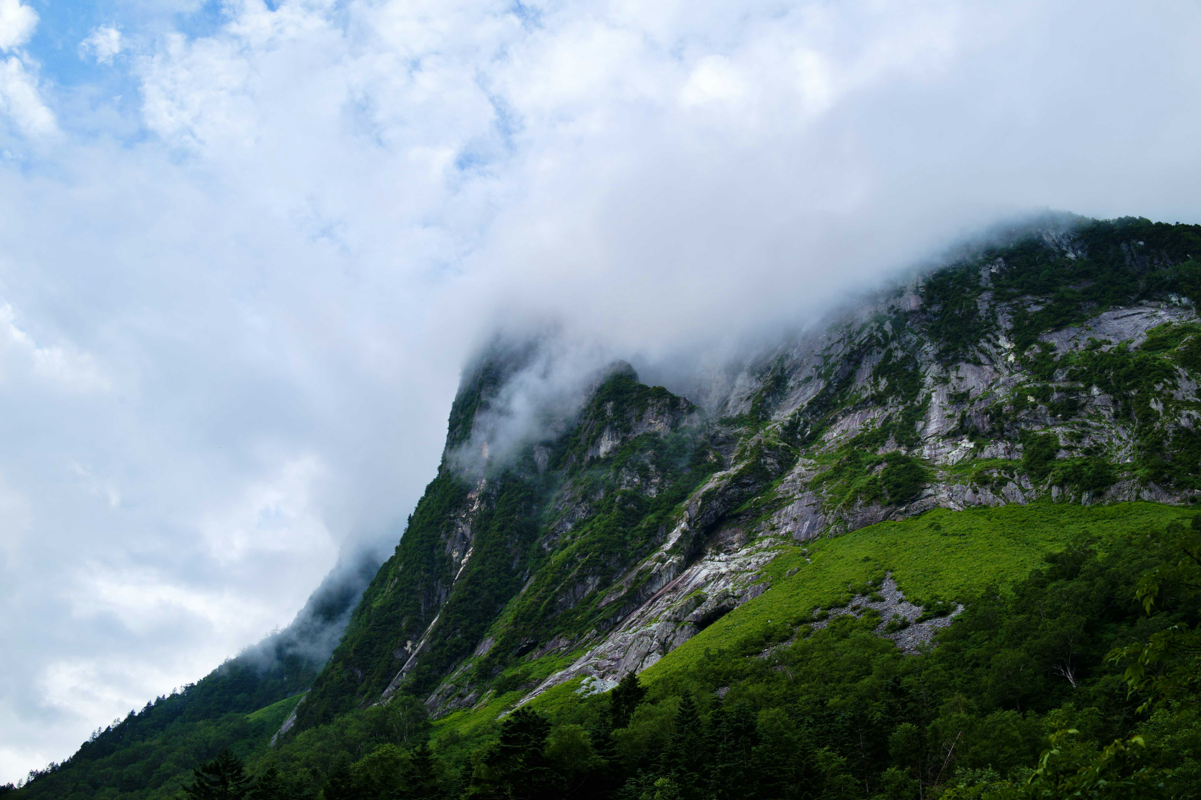 雲に覆われた緑の山の風景