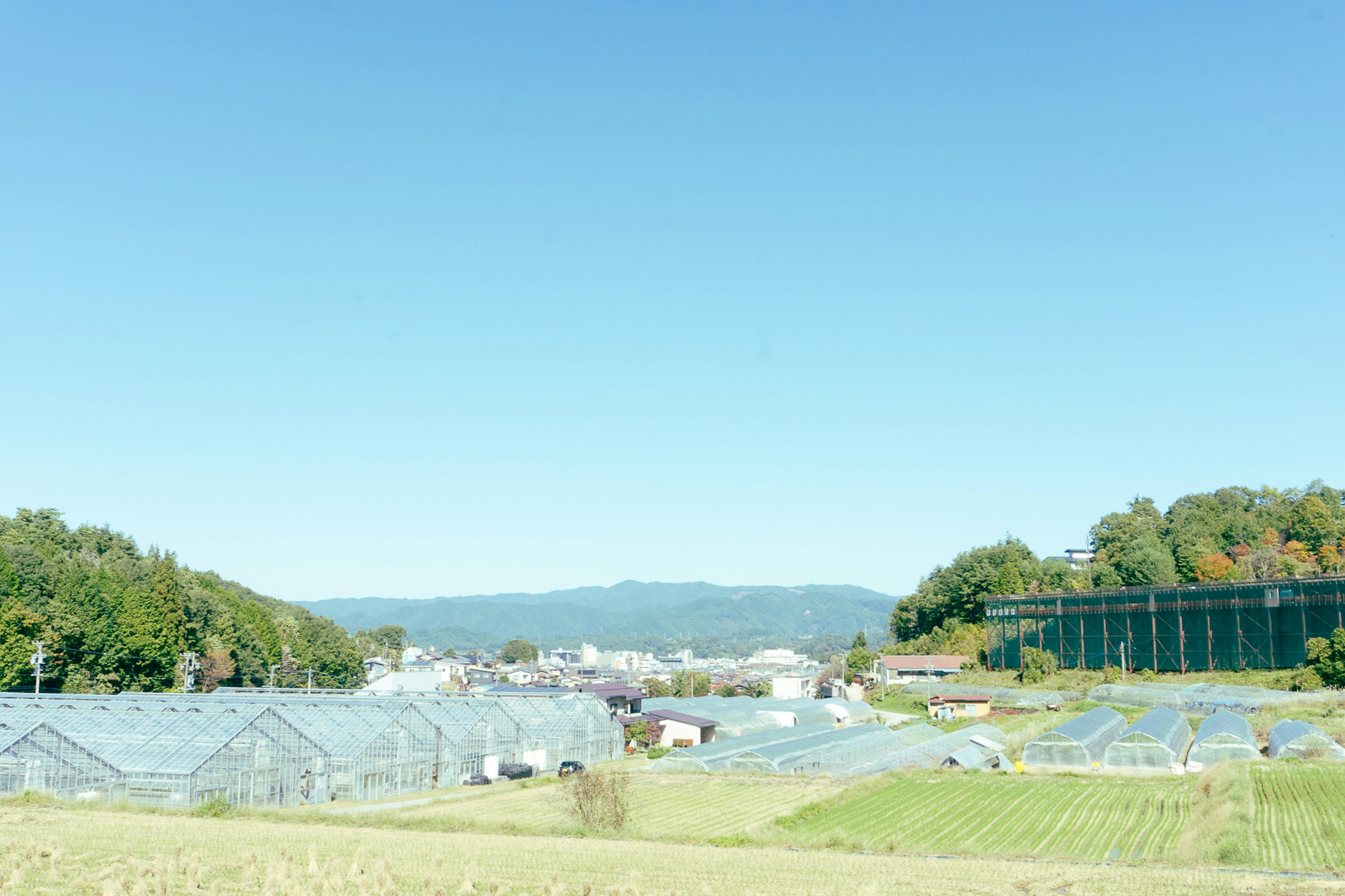 青空の下に広がる温室と農地の風景