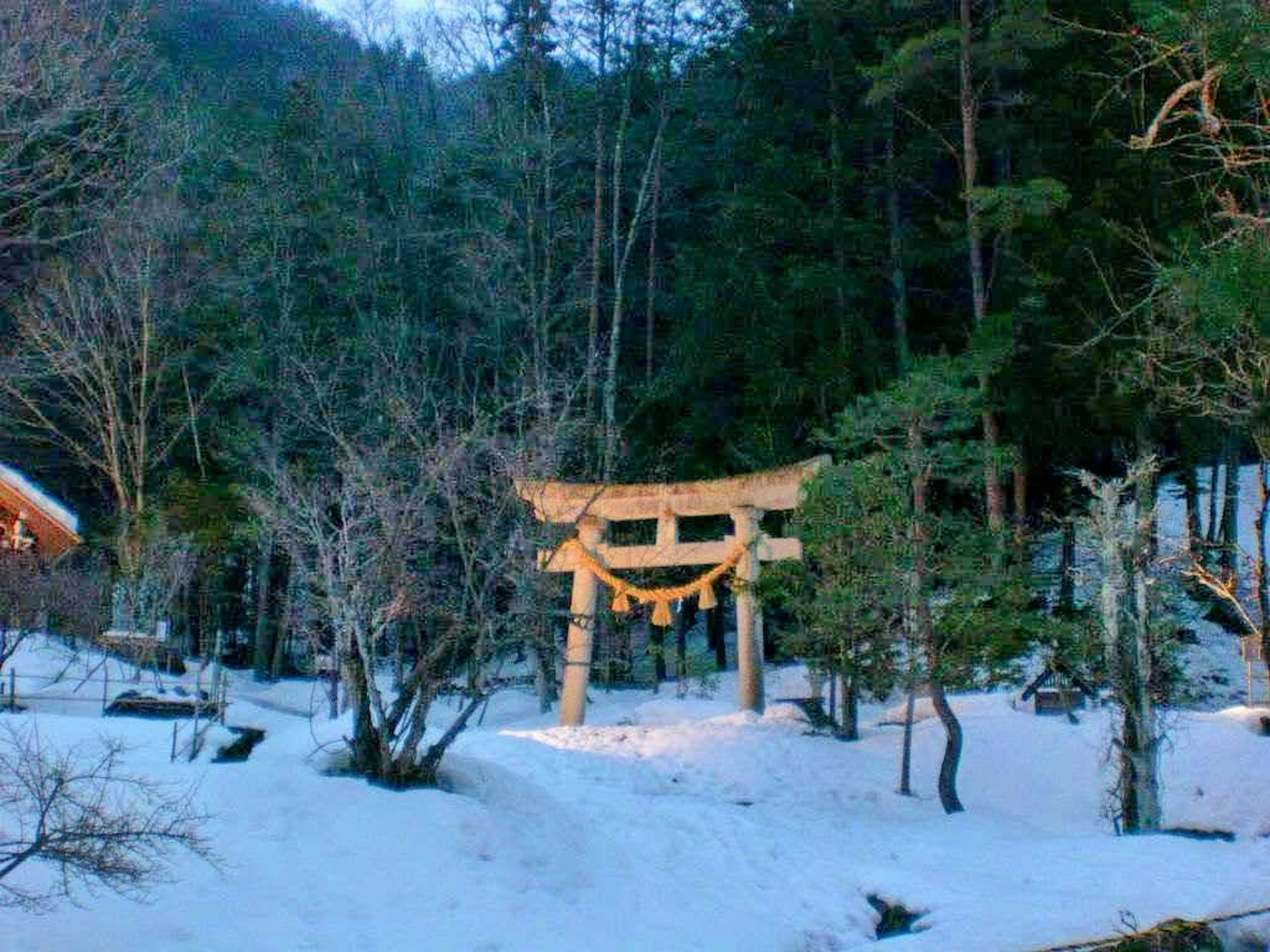 Torii gate in a snowy forest with trees and mountains