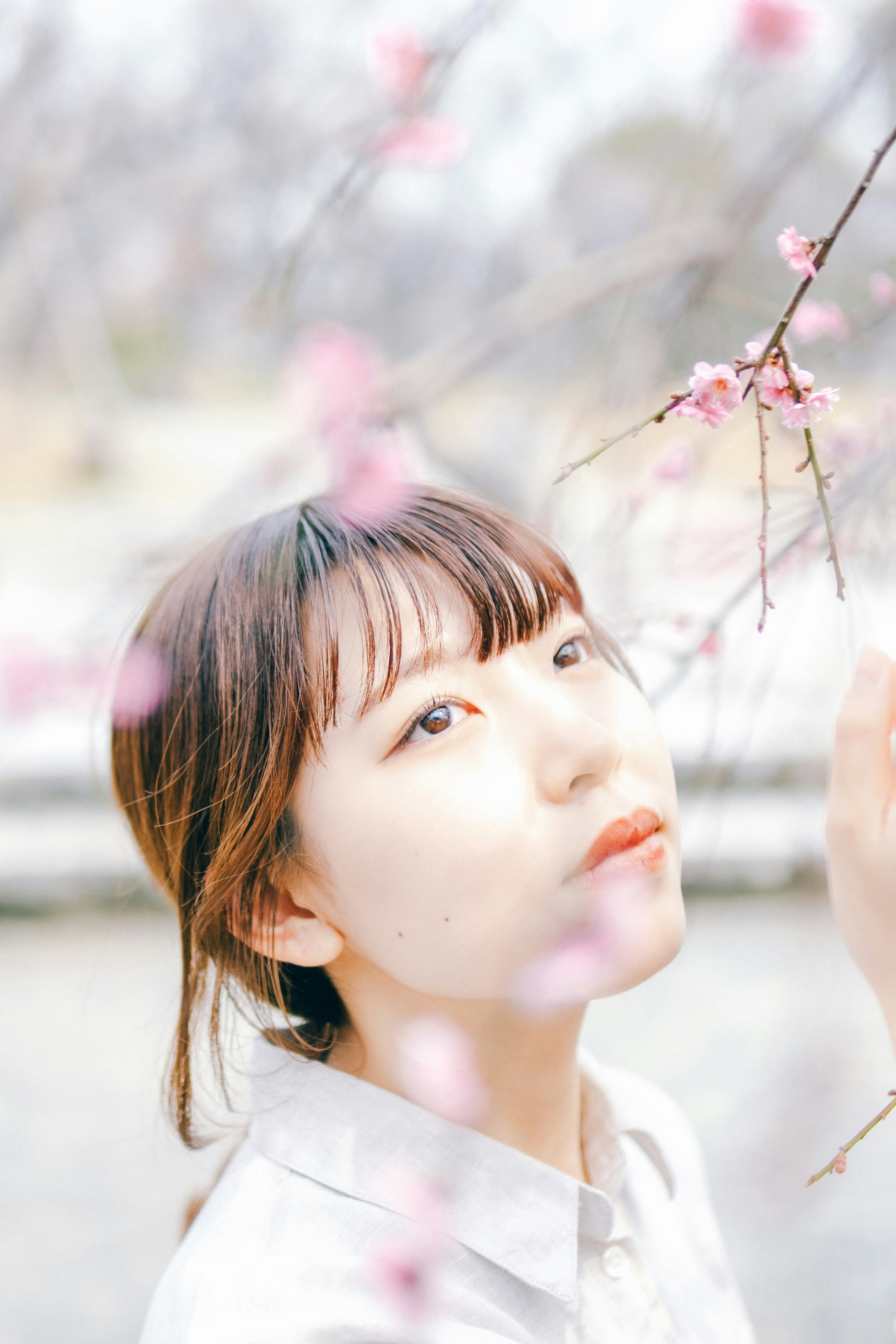 Portrait of a woman looking up at cherry blossoms