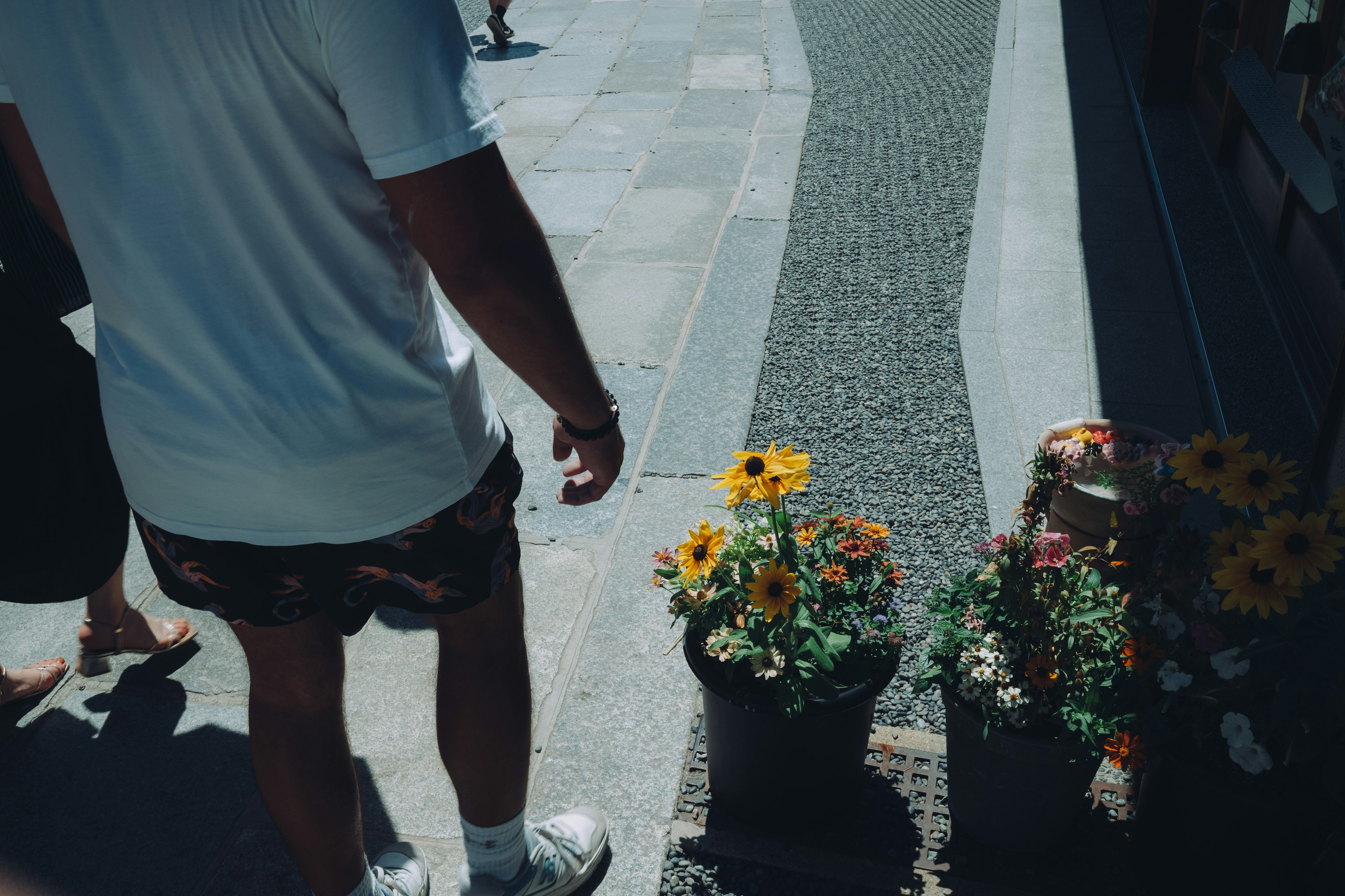 Person walking past flower pots on a sidewalk