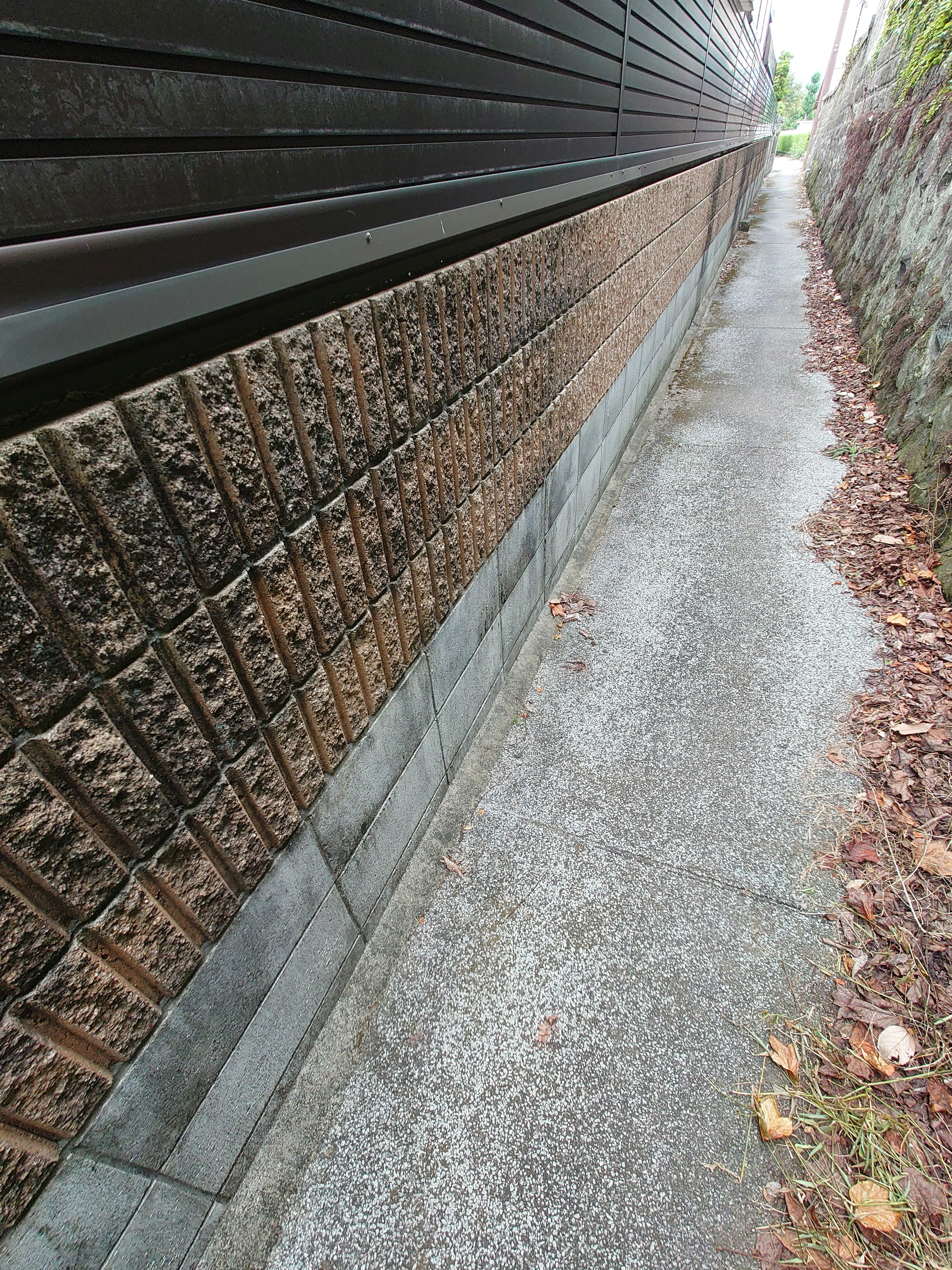 Narrow walkway alongside a textured stone wall