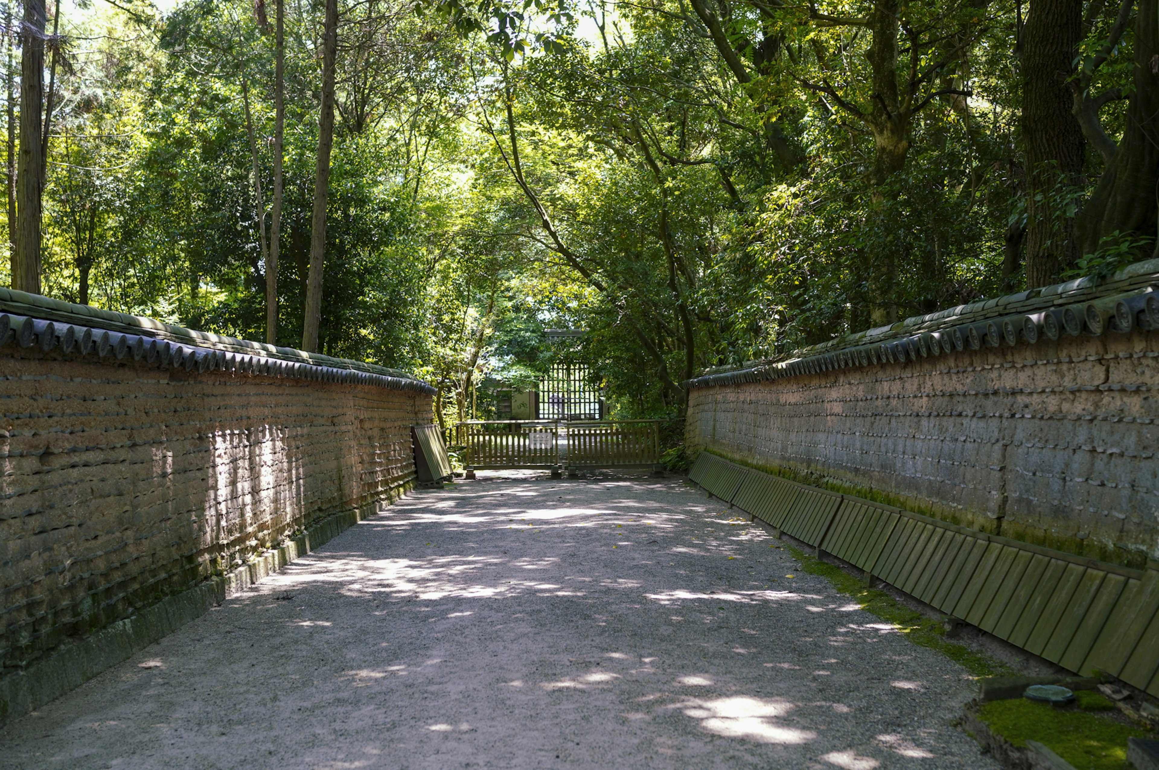 Un chemin serein entouré de verdure luxuriante et de vieux murs en pierre