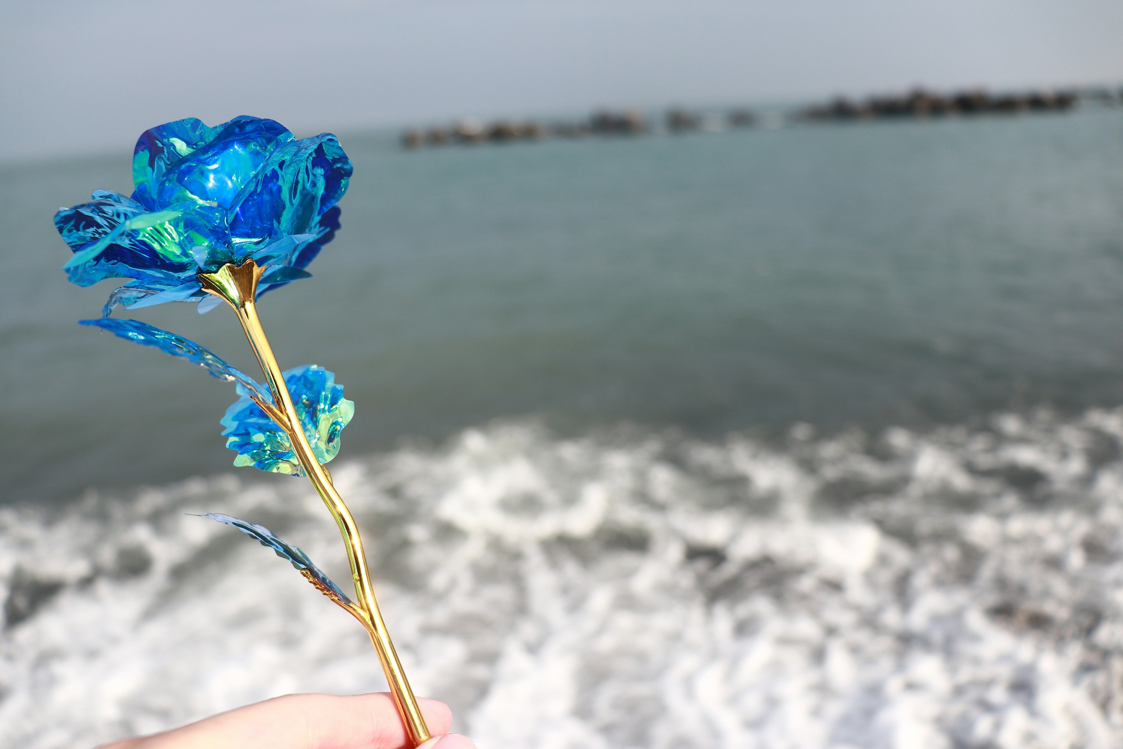 Flor azul con olas del océano de fondo