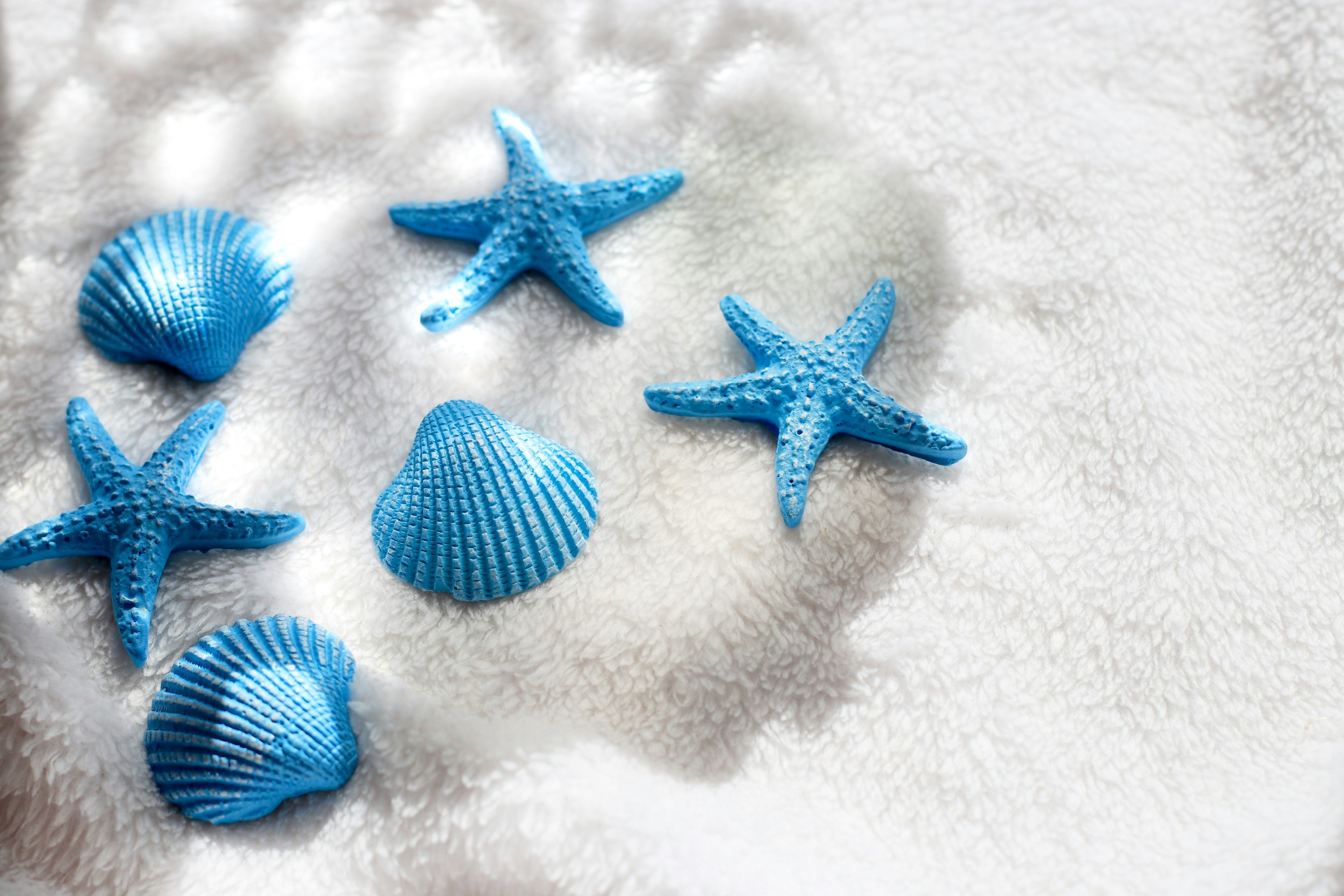 Blue shells and starfish arranged on sand