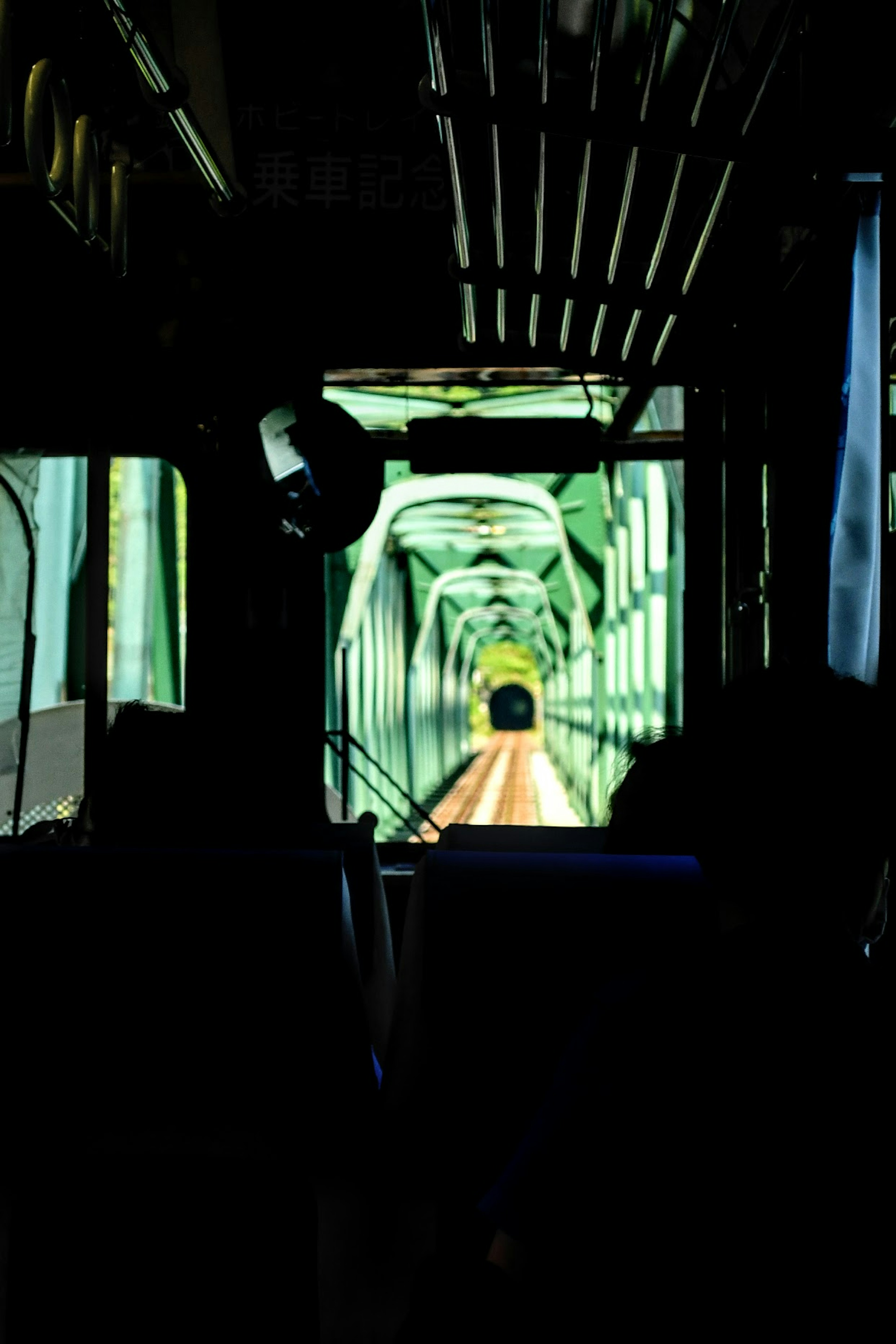 Blick auf einen grünen Tunnel von innen in einem Zug