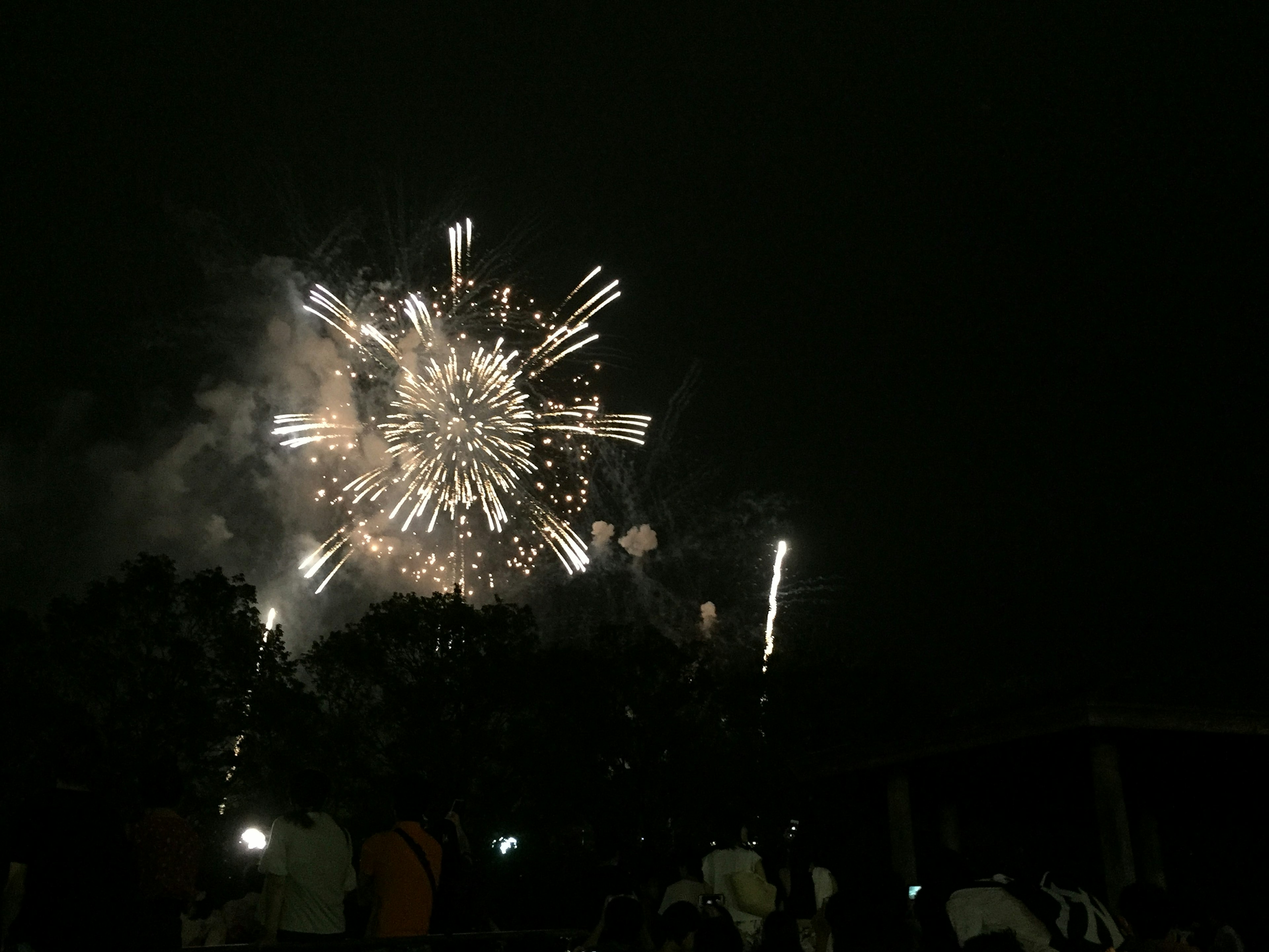 Feuerwerk im Nachthimmel helle Lichter und Farben