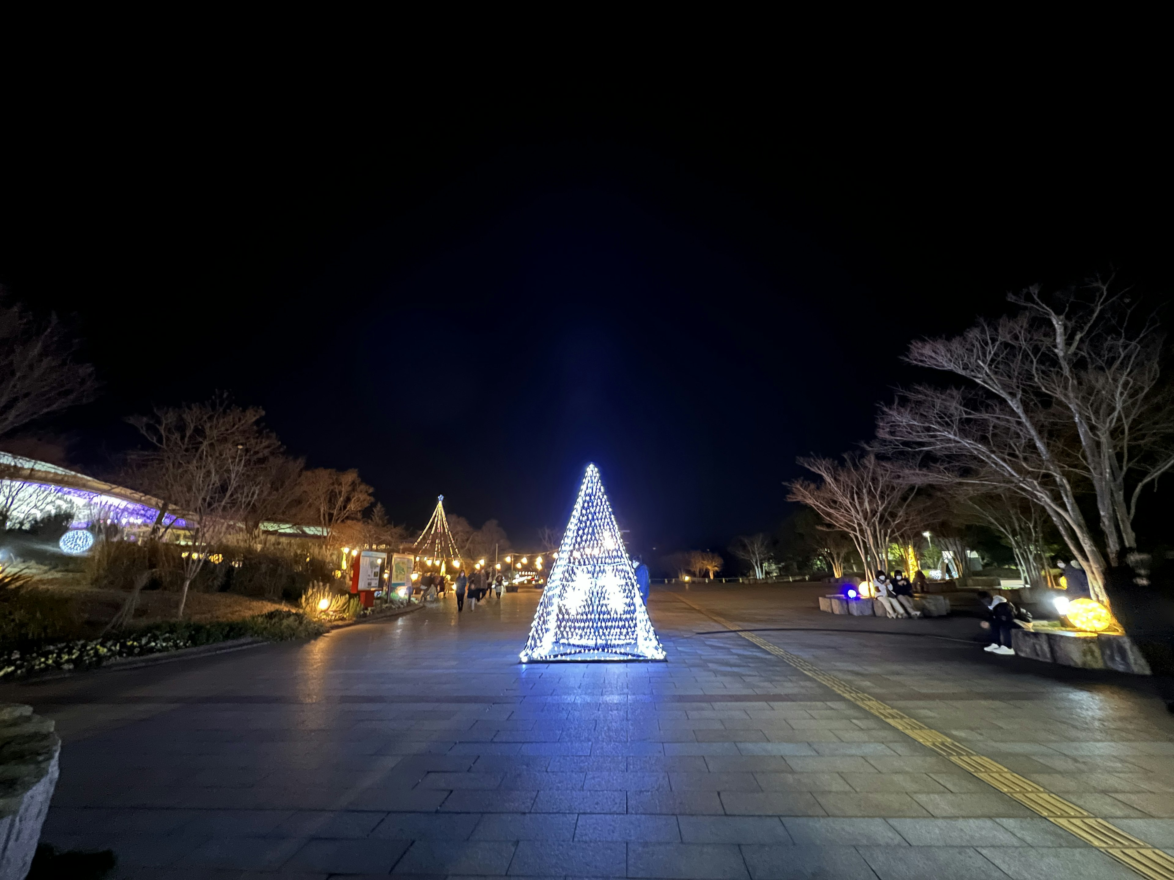 Structure illuminée en forme de sapin de Noël dans une place nocturne avec des arbres environnants