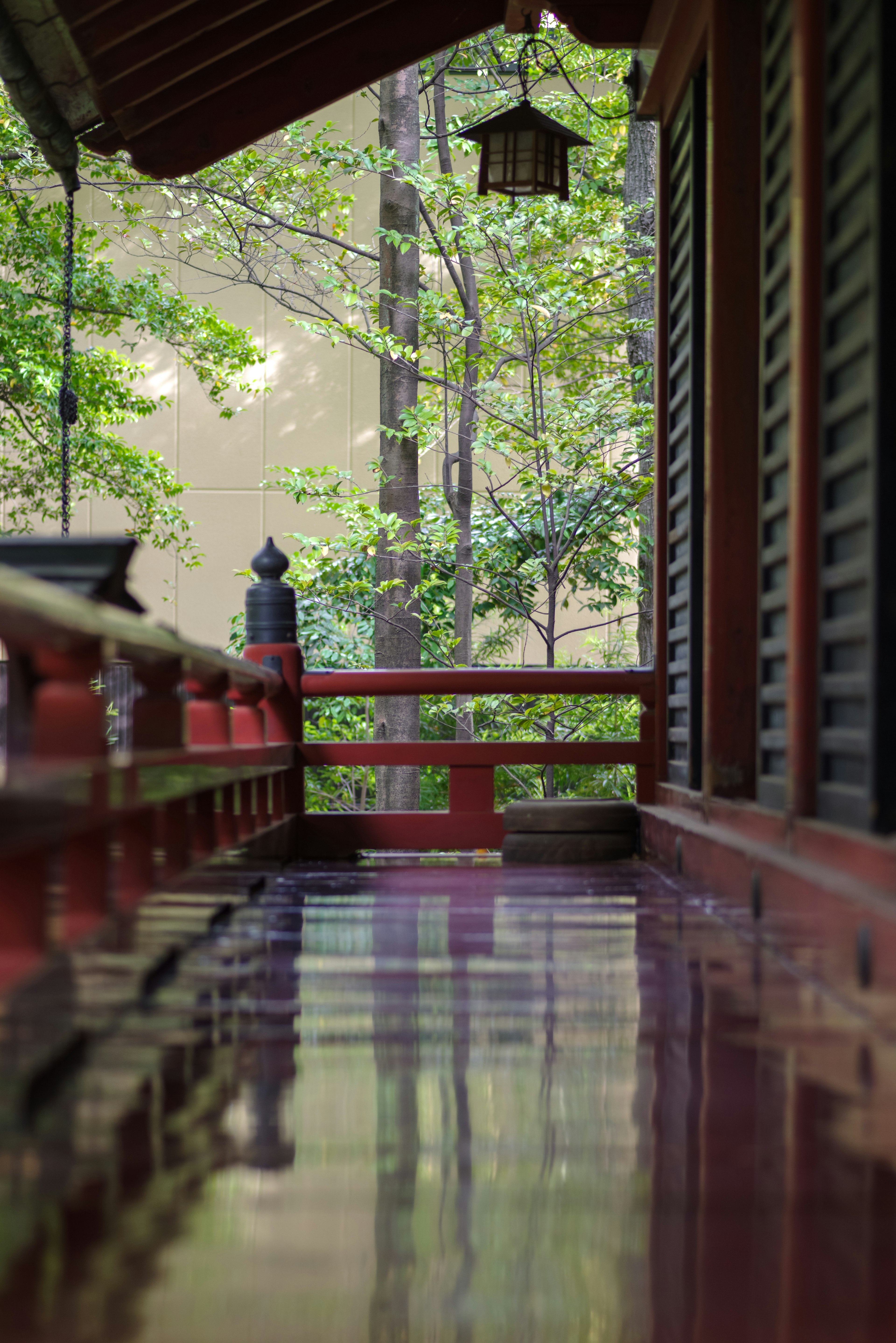 Corridor with red railing and sunlight filtering through the forest