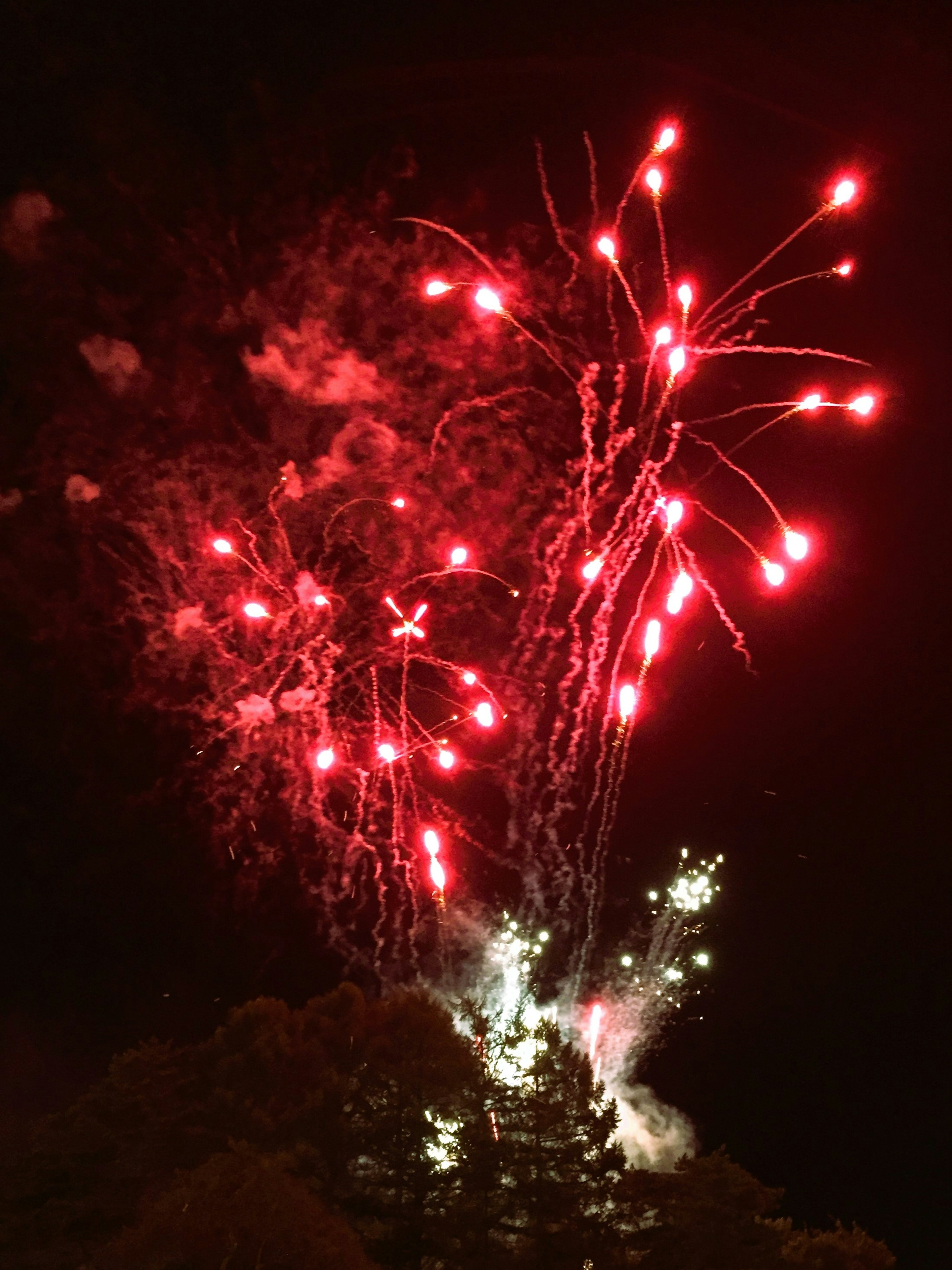 Fuochi d'artificio rossi e bianchi che esplodono nel cielo notturno