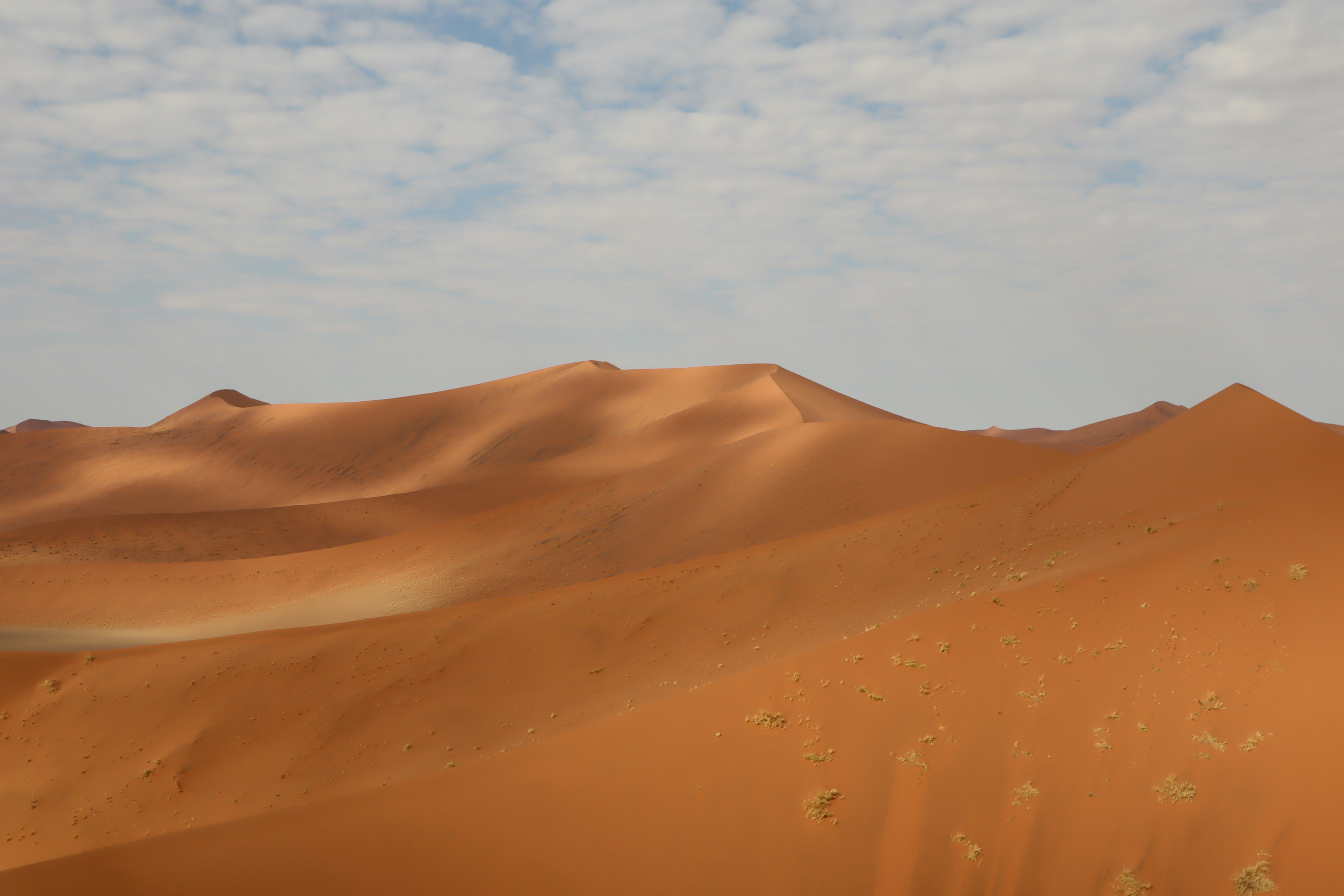 オレンジ色の砂丘が広がる砂漠の風景