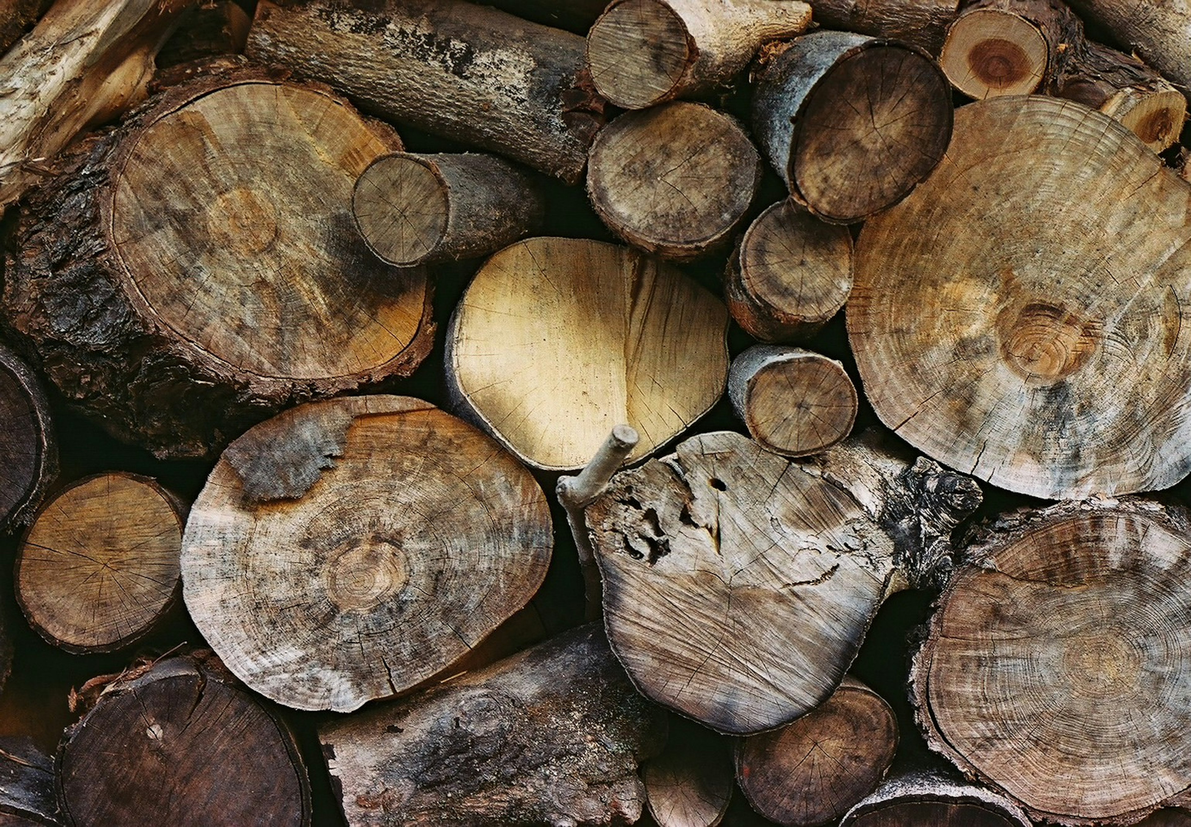 A collection of various wooden logs stacked together