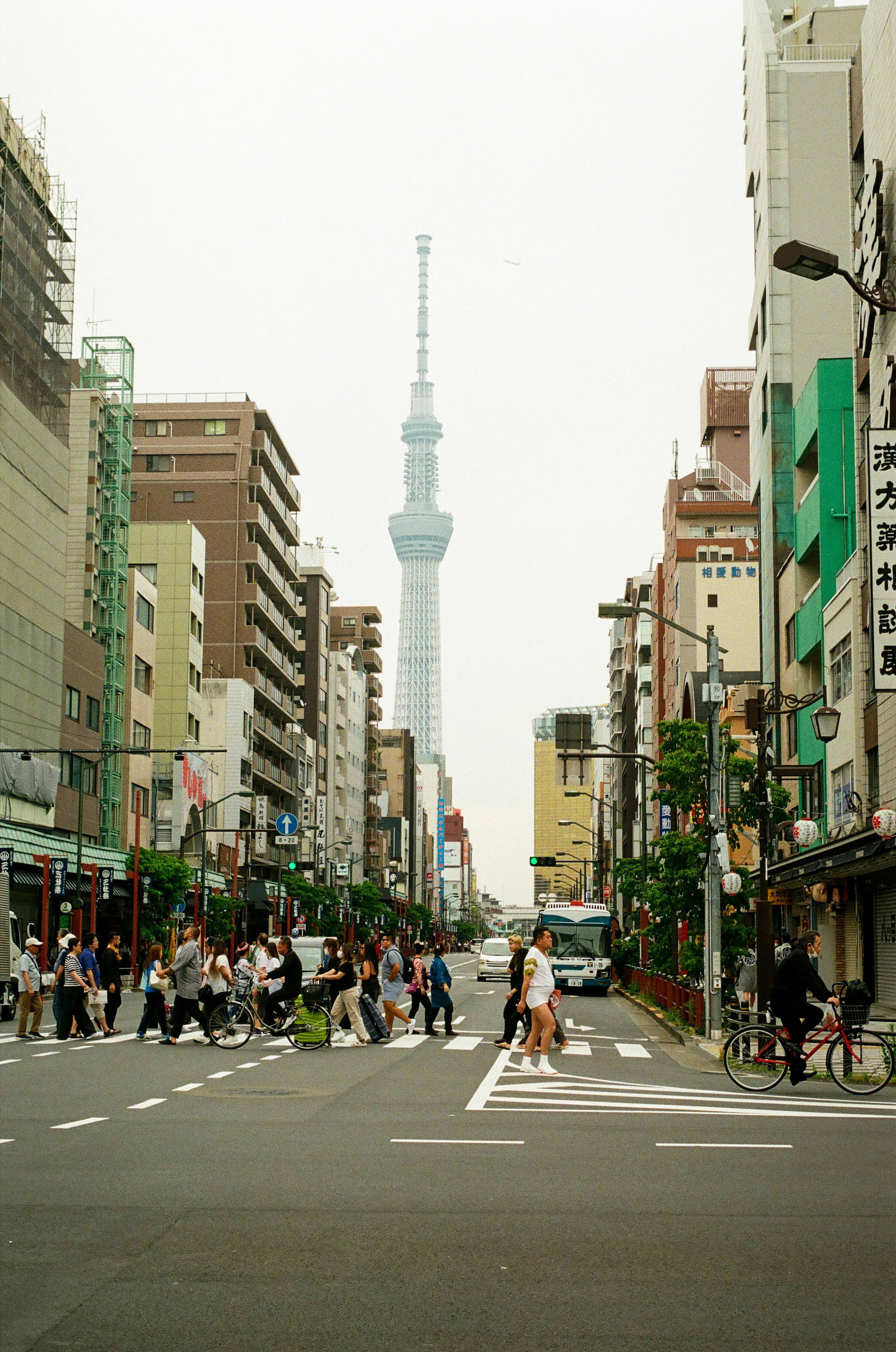 東京スカイツリーが見える賑やかな街の風景