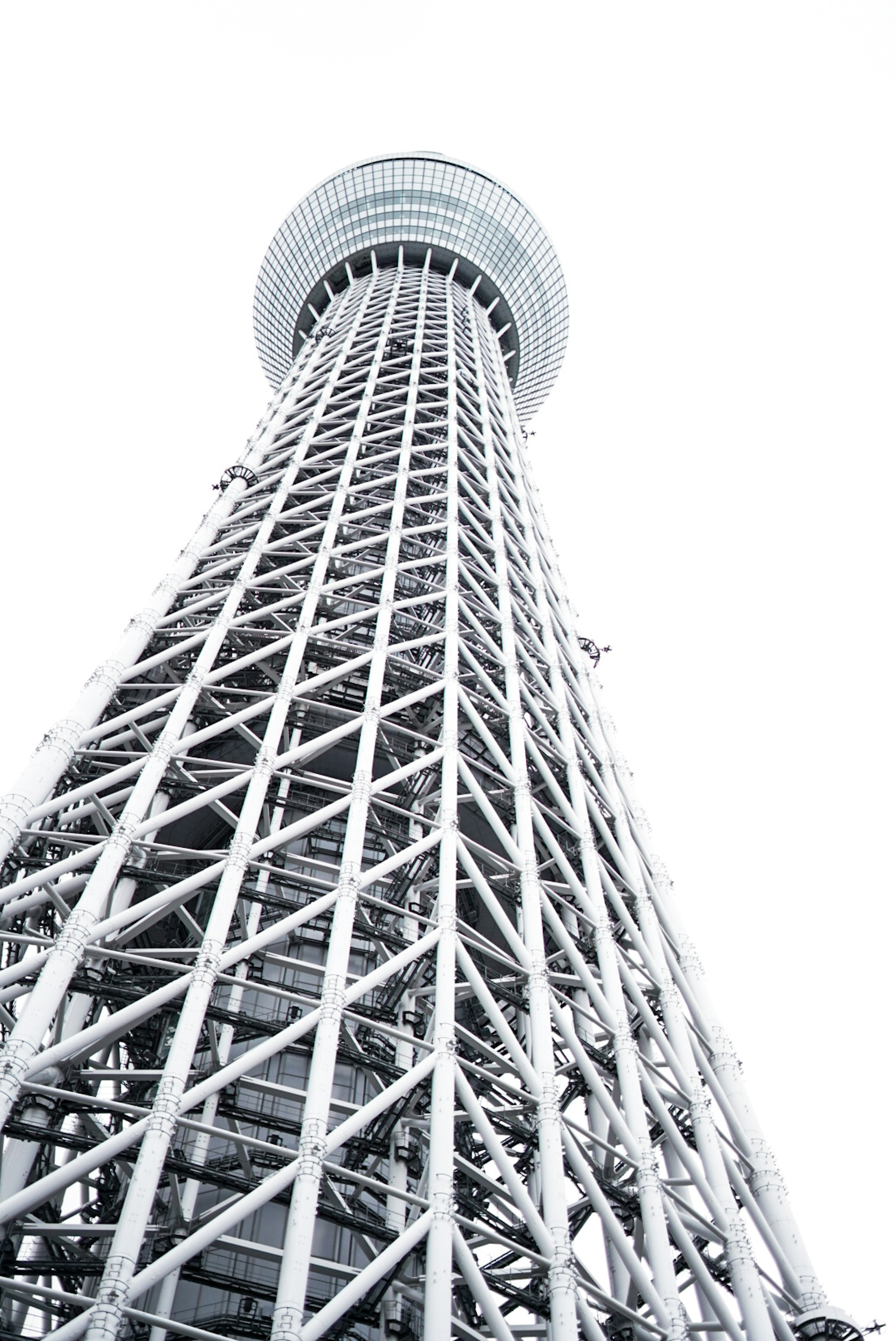 Cảnh Tokyo Skytree từ dưới lên với nền trời trắng