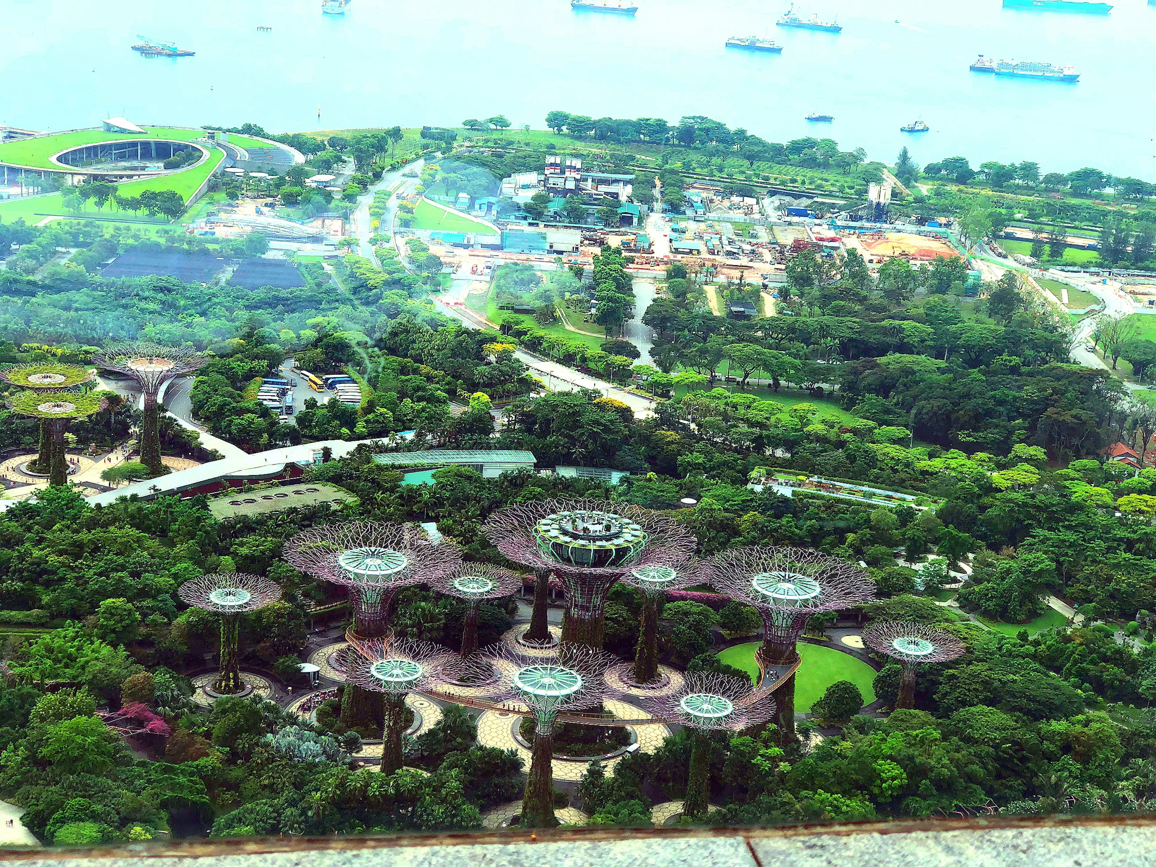 Vista aerea dei Gardens by the Bay a Singapore che mostra una vegetazione lussureggiante e strutture uniche