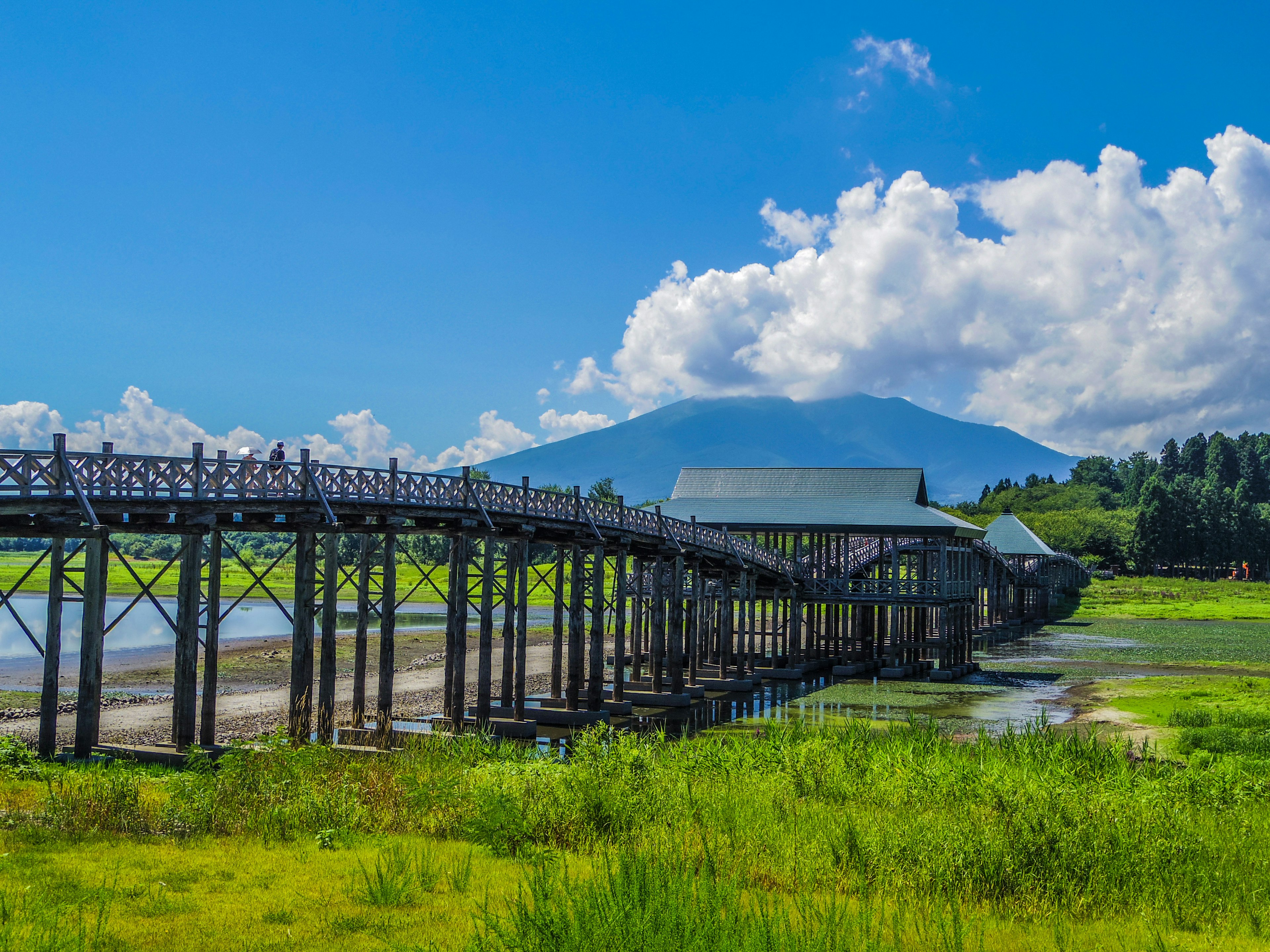 Jembatan kayu yang membentang di atas rumput hijau subur di bawah langit biru yang indah