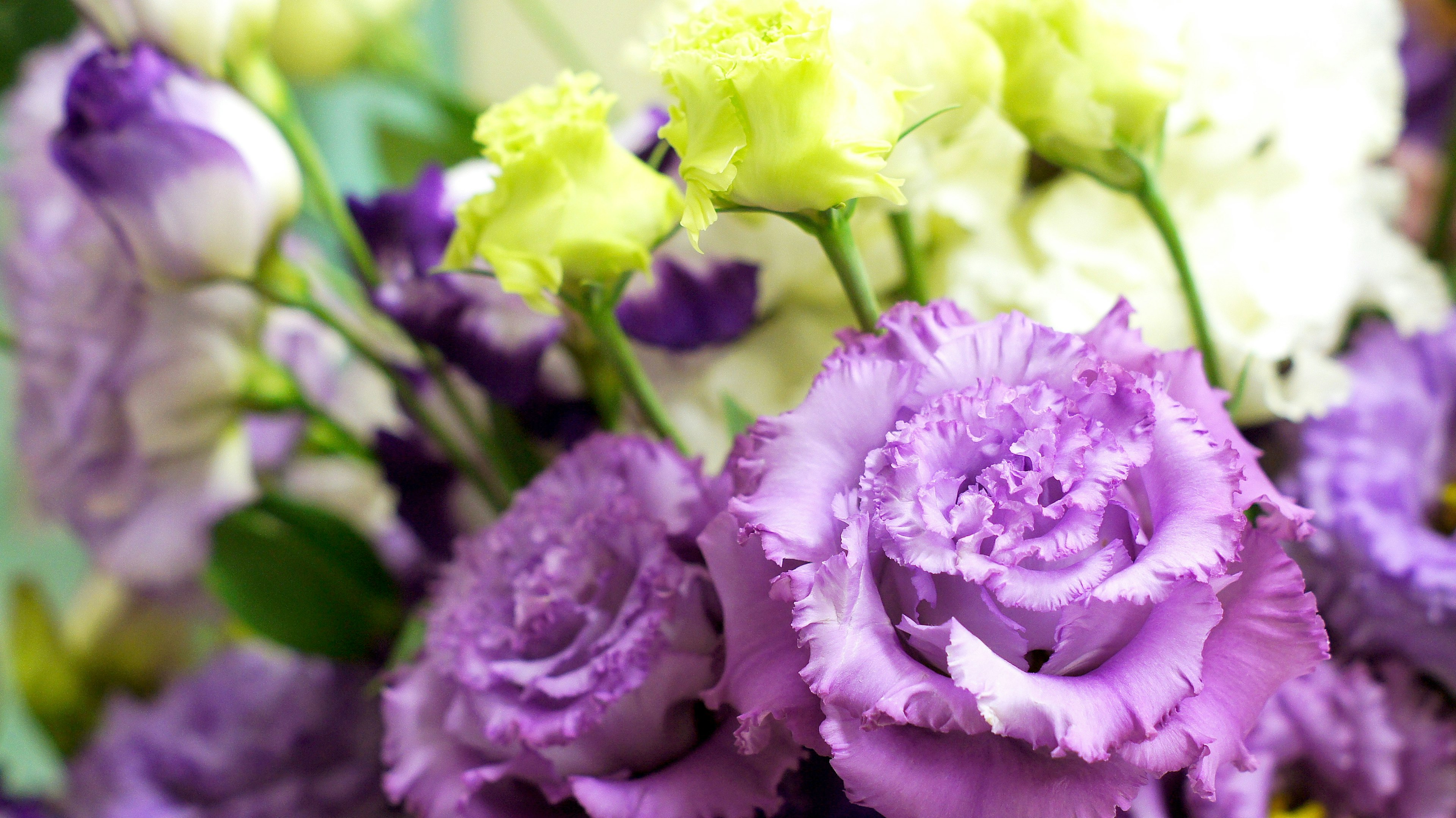 Un ramo de flores moradas y blancas hermosas