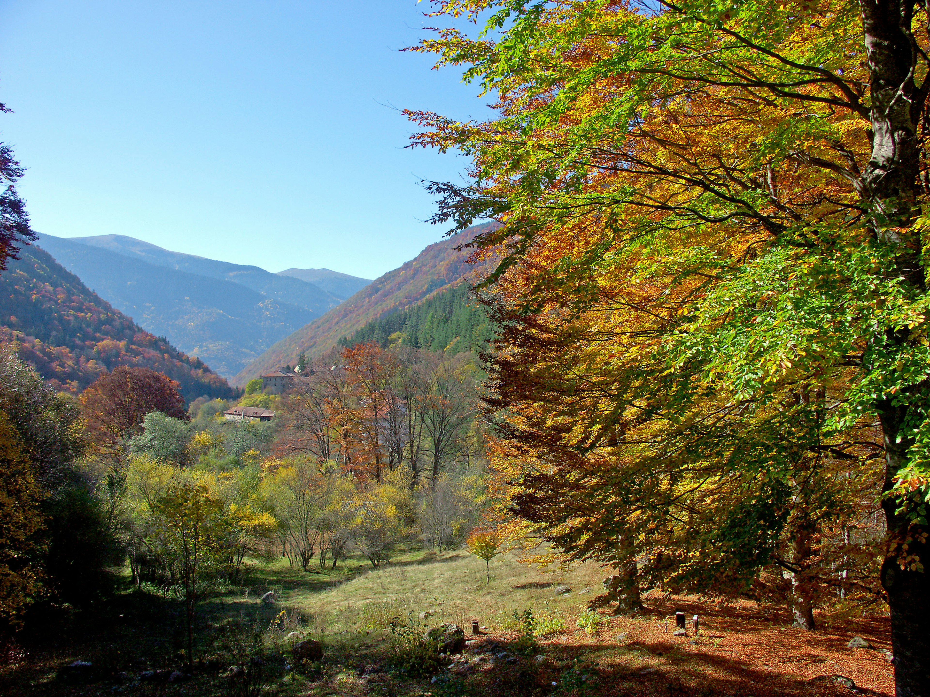 Scenic view of autumn foliage with vibrant trees and mountains