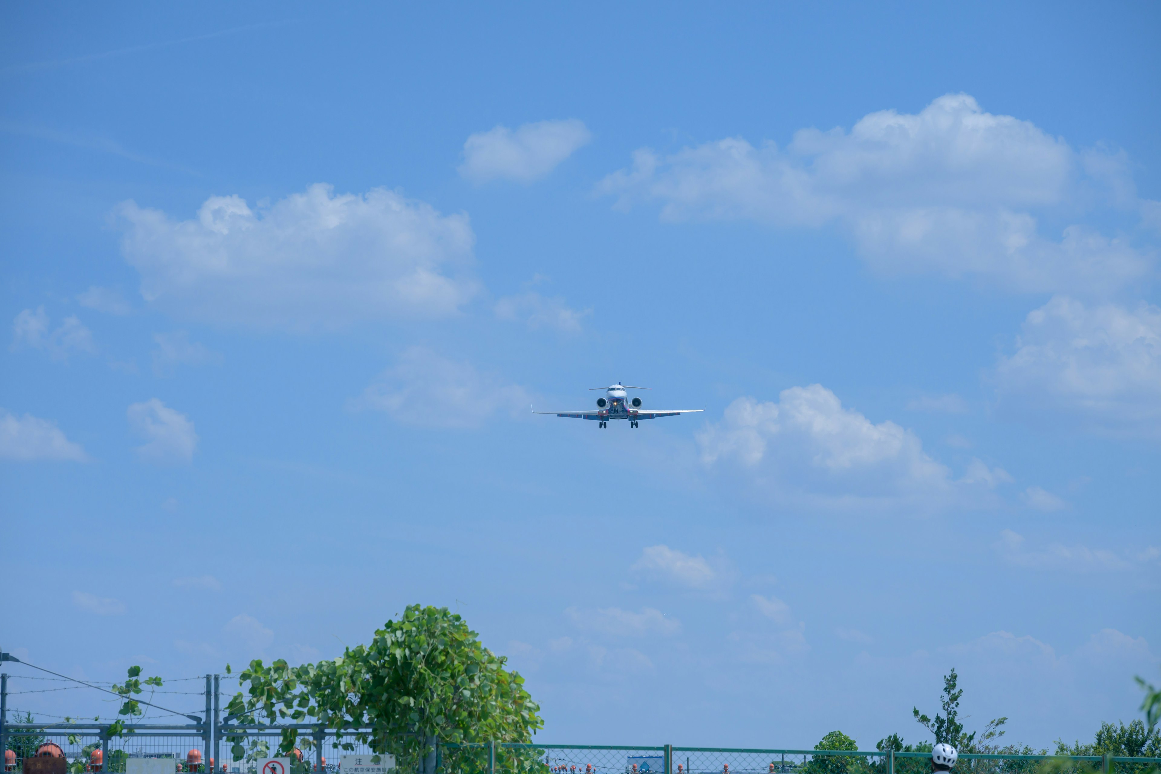 青空を背景に飛行機が着陸する様子