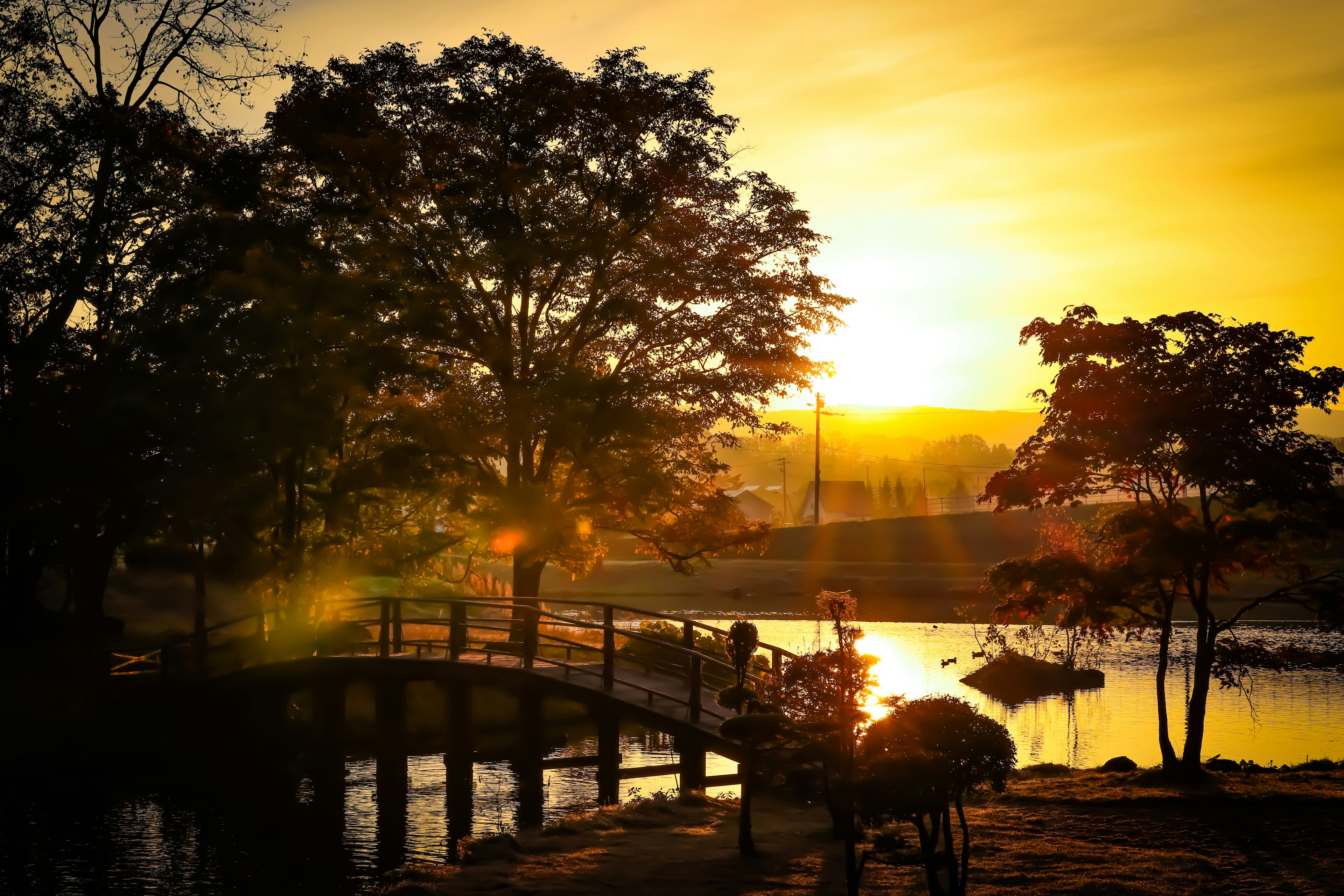 夕日が沈む公園の風景 橋と池のシルエット 周囲の木々のシルエットが美しい