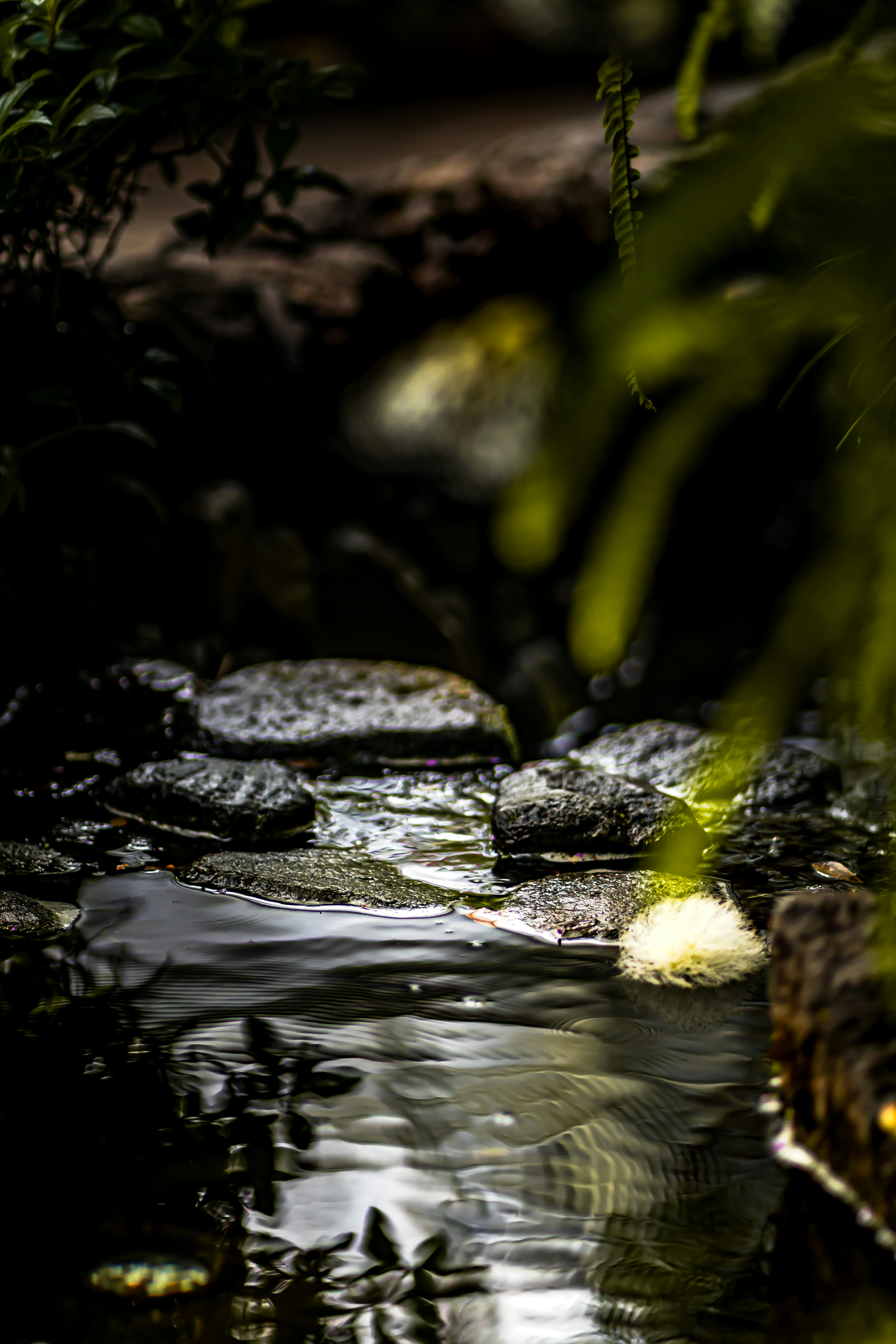 A serene stream with smooth stones surrounded by lush greenery