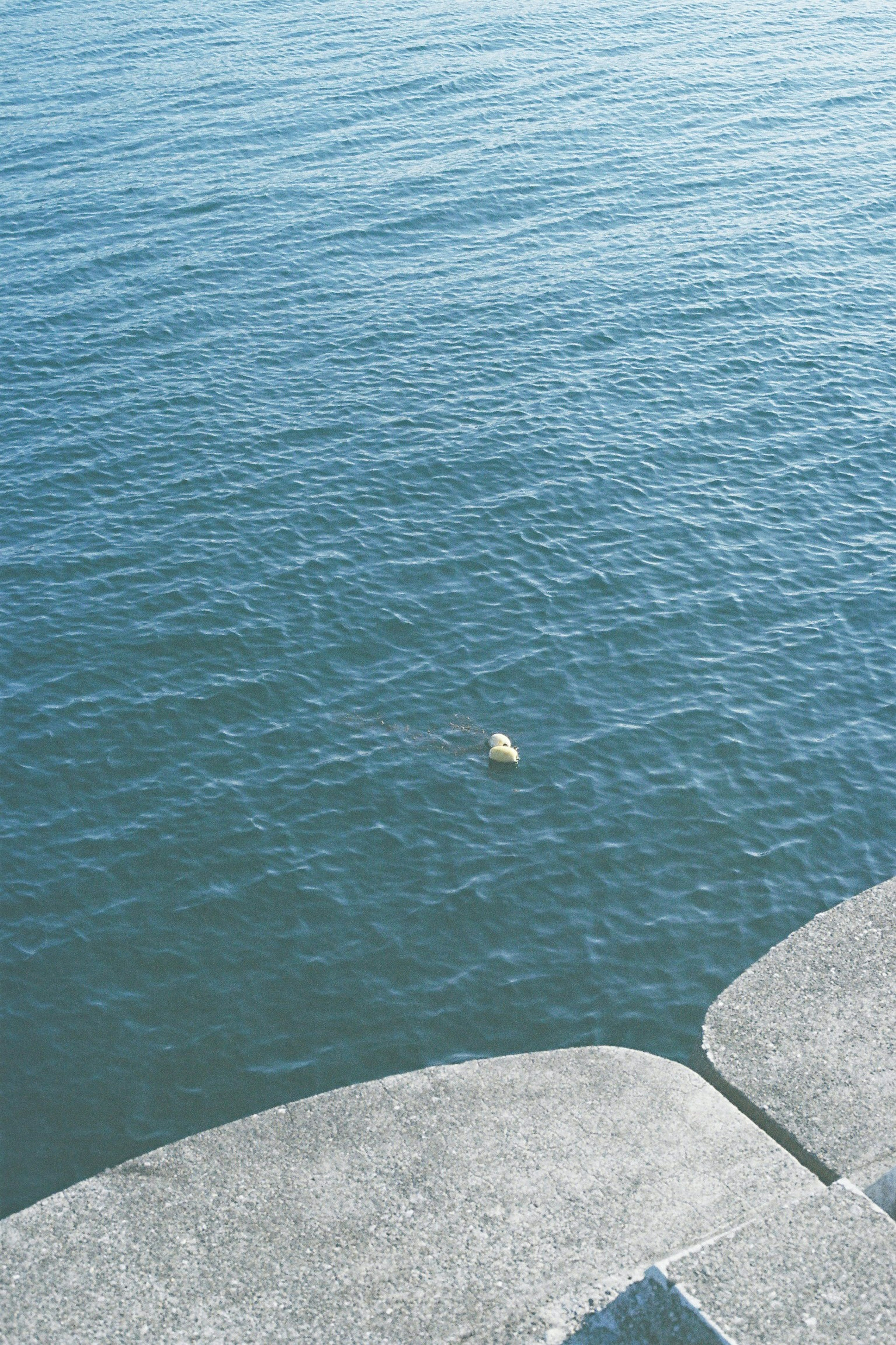 Petit objet flottant à la surface de l'eau avec de l'eau bleue