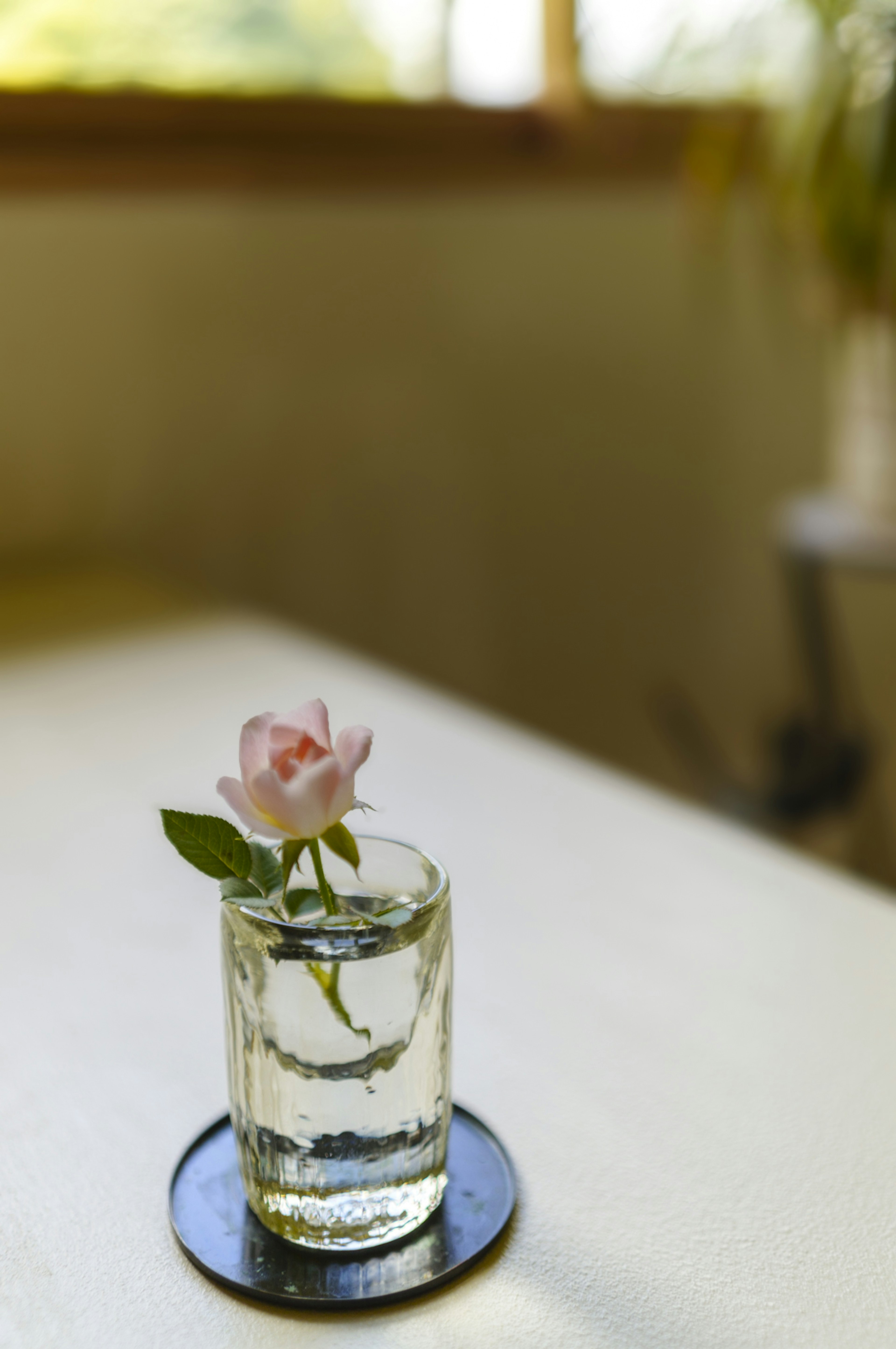 A glass of water with a pink rose and green leaf on a black coaster