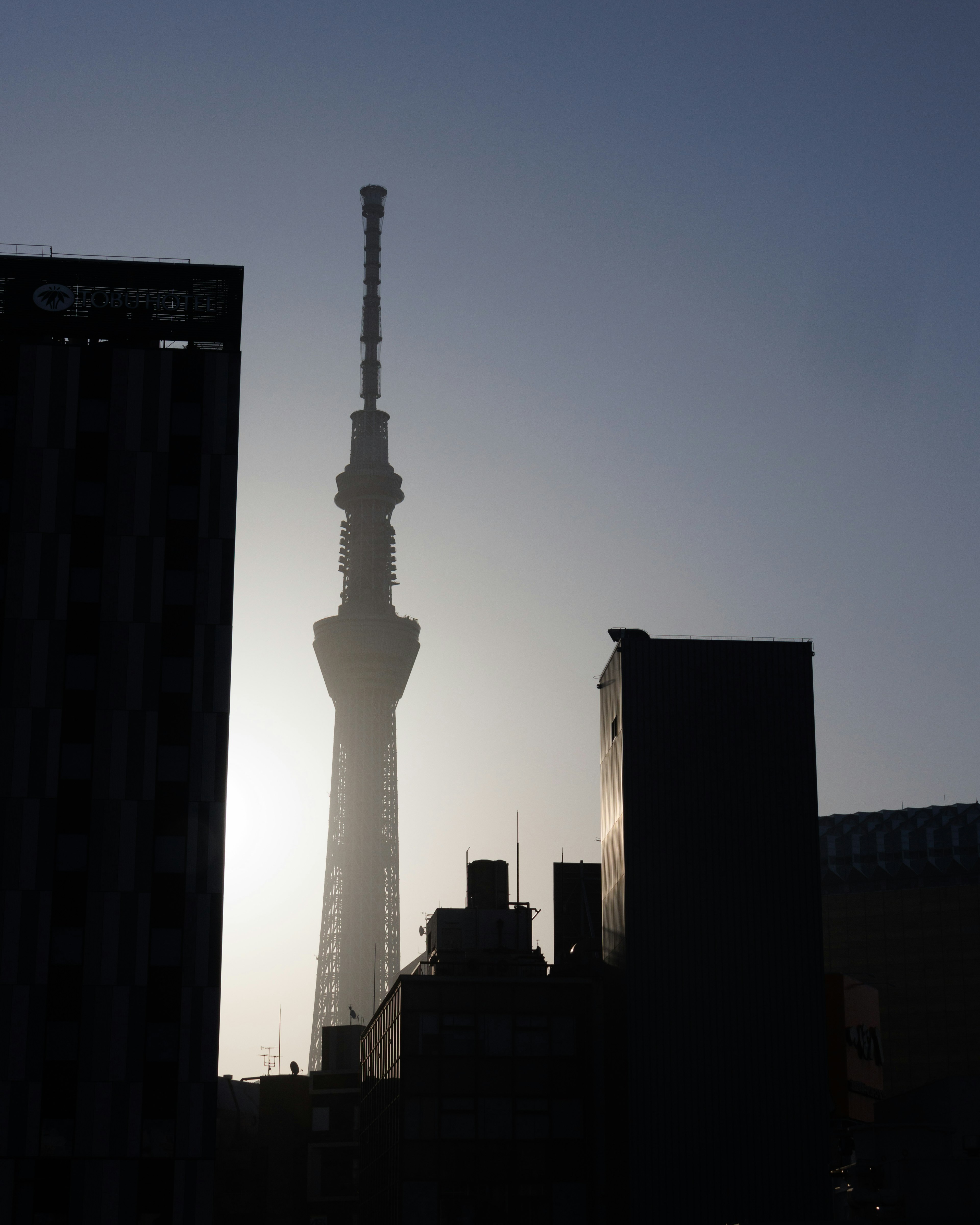 東京スカイツリーのシルエットが夕暮れの空に映える