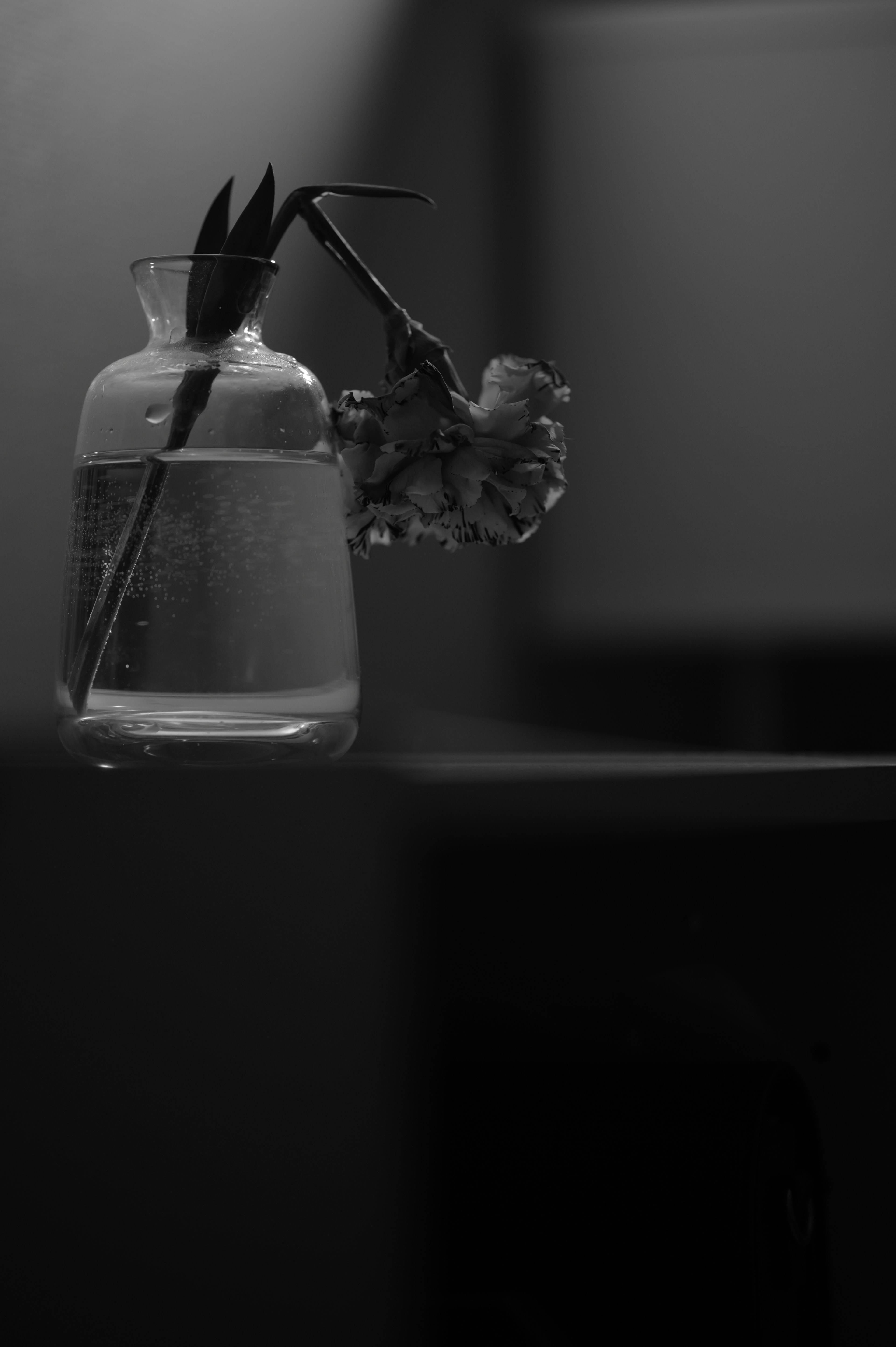 Imagen en blanco y negro de un jarrón de vidrio con agua que sostiene una flor y hojas