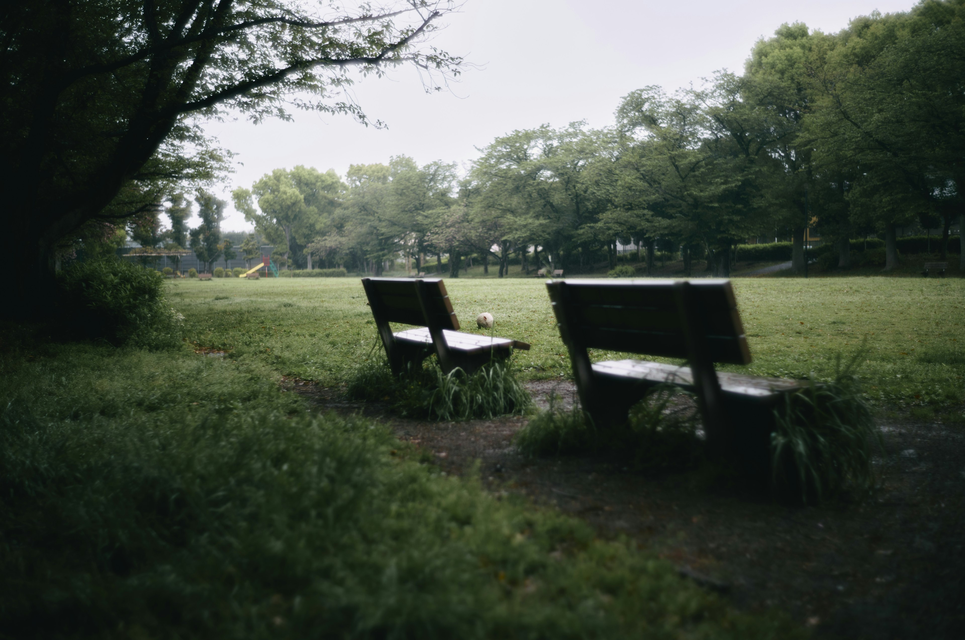 Two wooden benches in a tranquil park surrounded by grass and trees