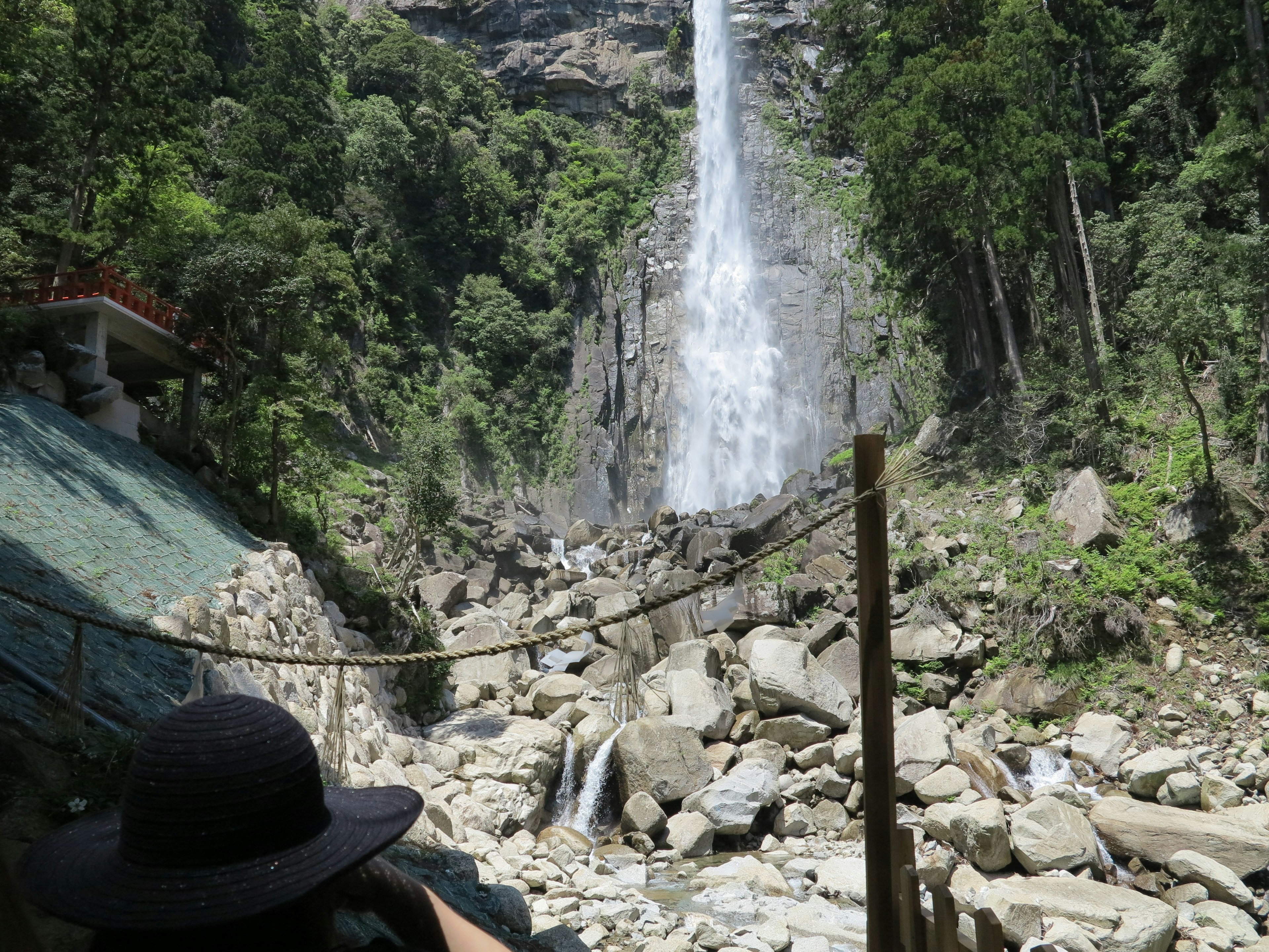 Pemandangan indah air terjun dikelilingi oleh pepohonan rimbun