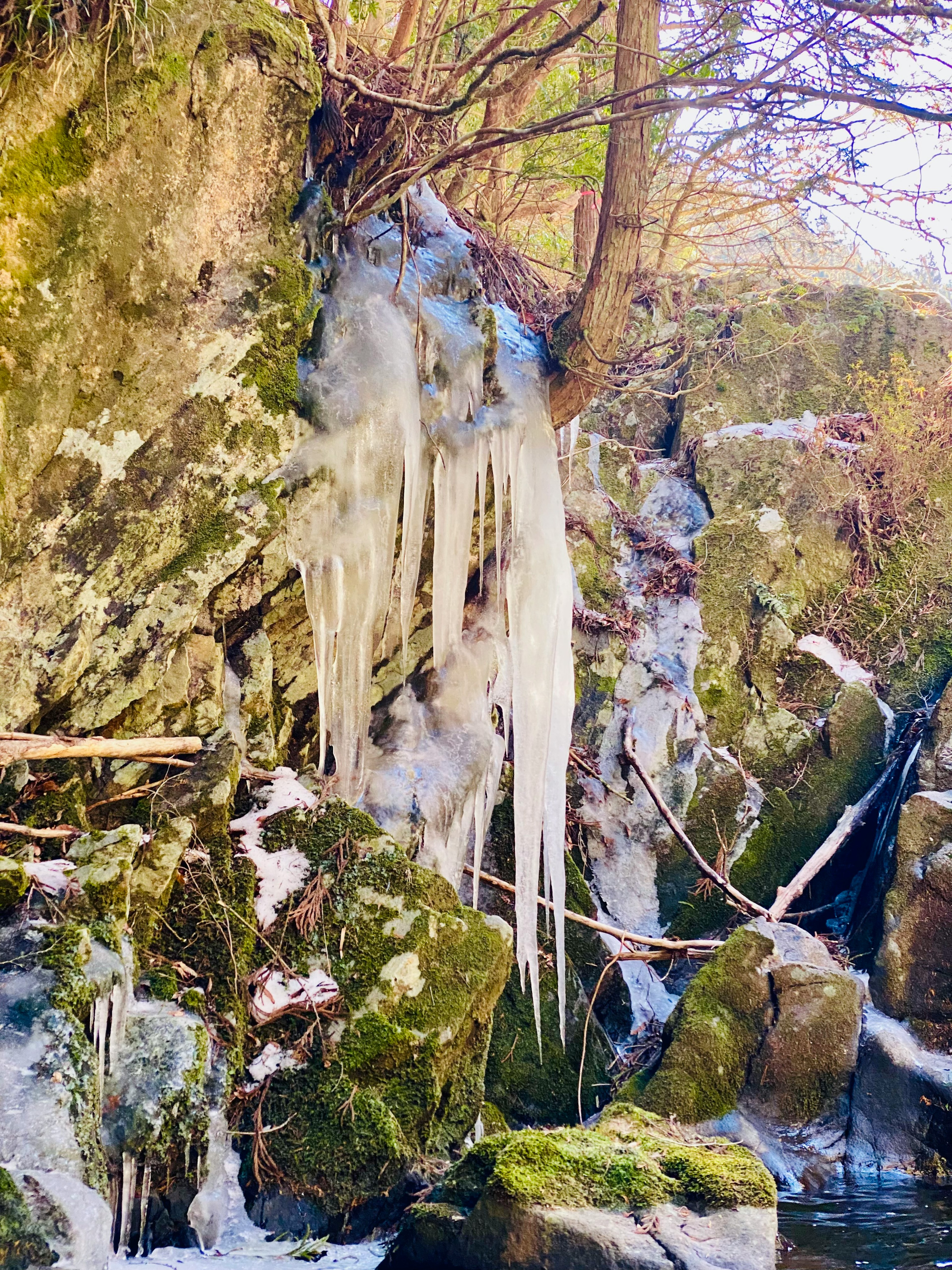 冬季景觀中懸掛在岩石上的冰柱