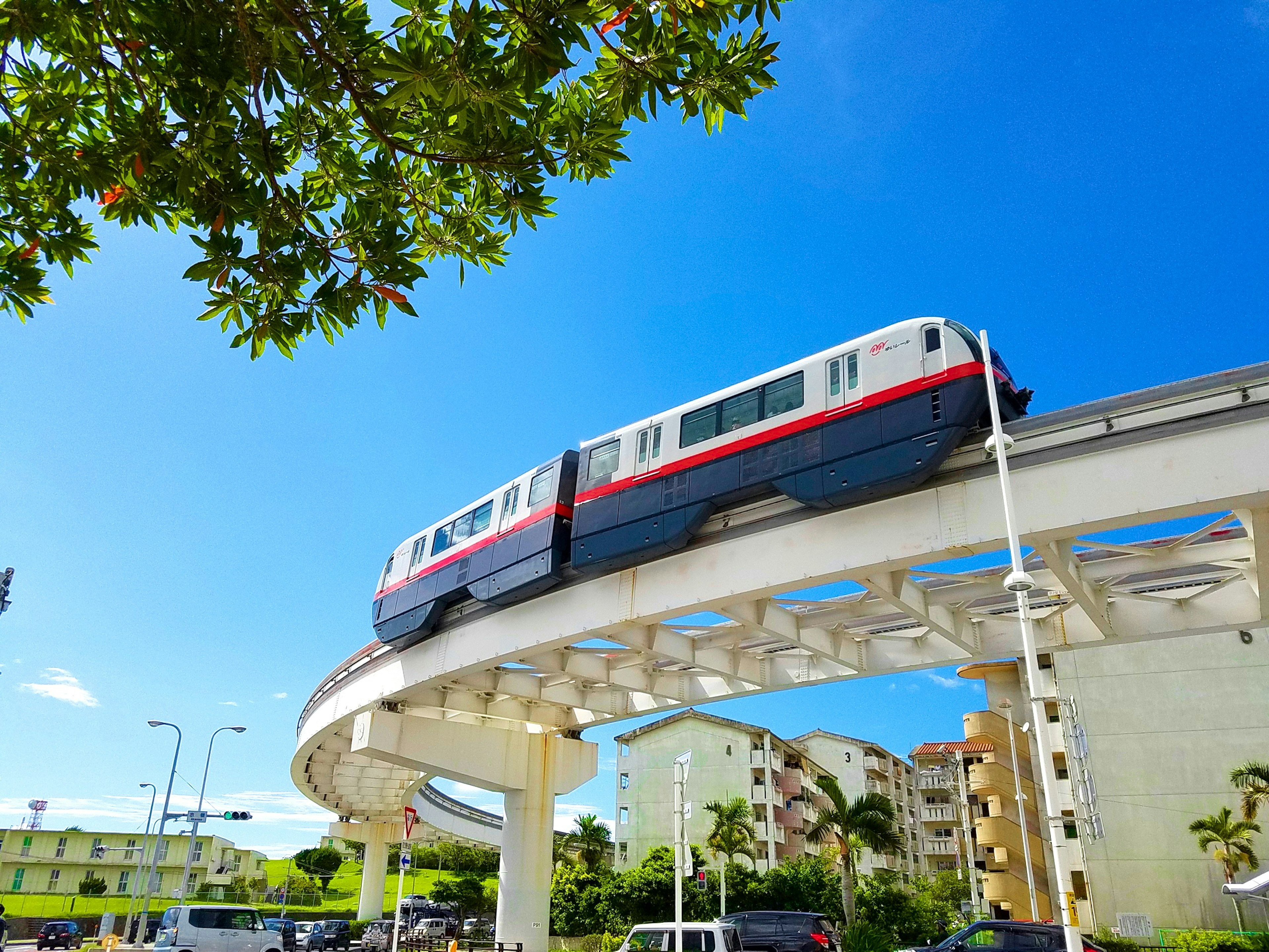 Monorail traveling under a blue sky with palm trees and buildings in view