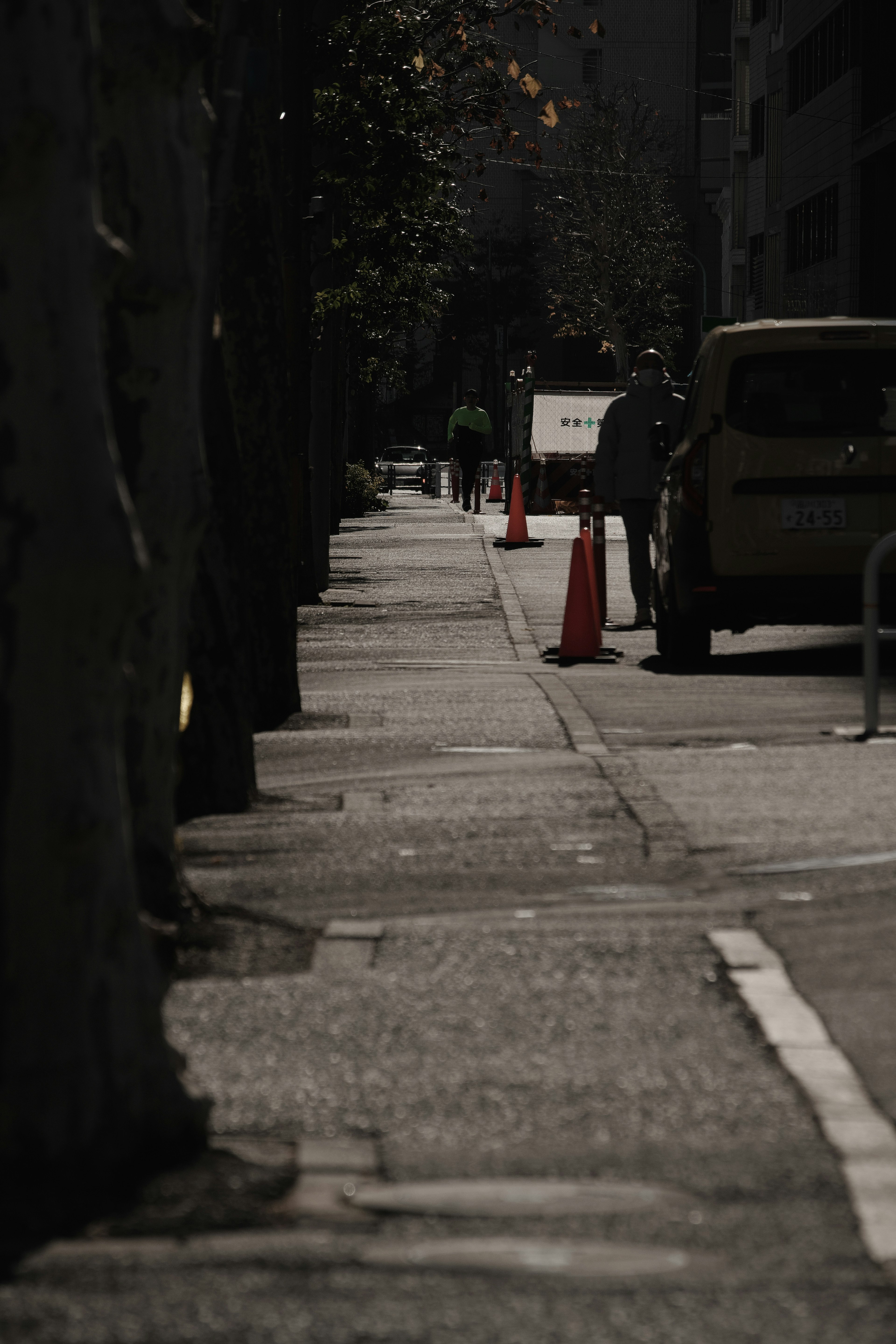 Sidewalk along a dark street lined with trees and traffic cones