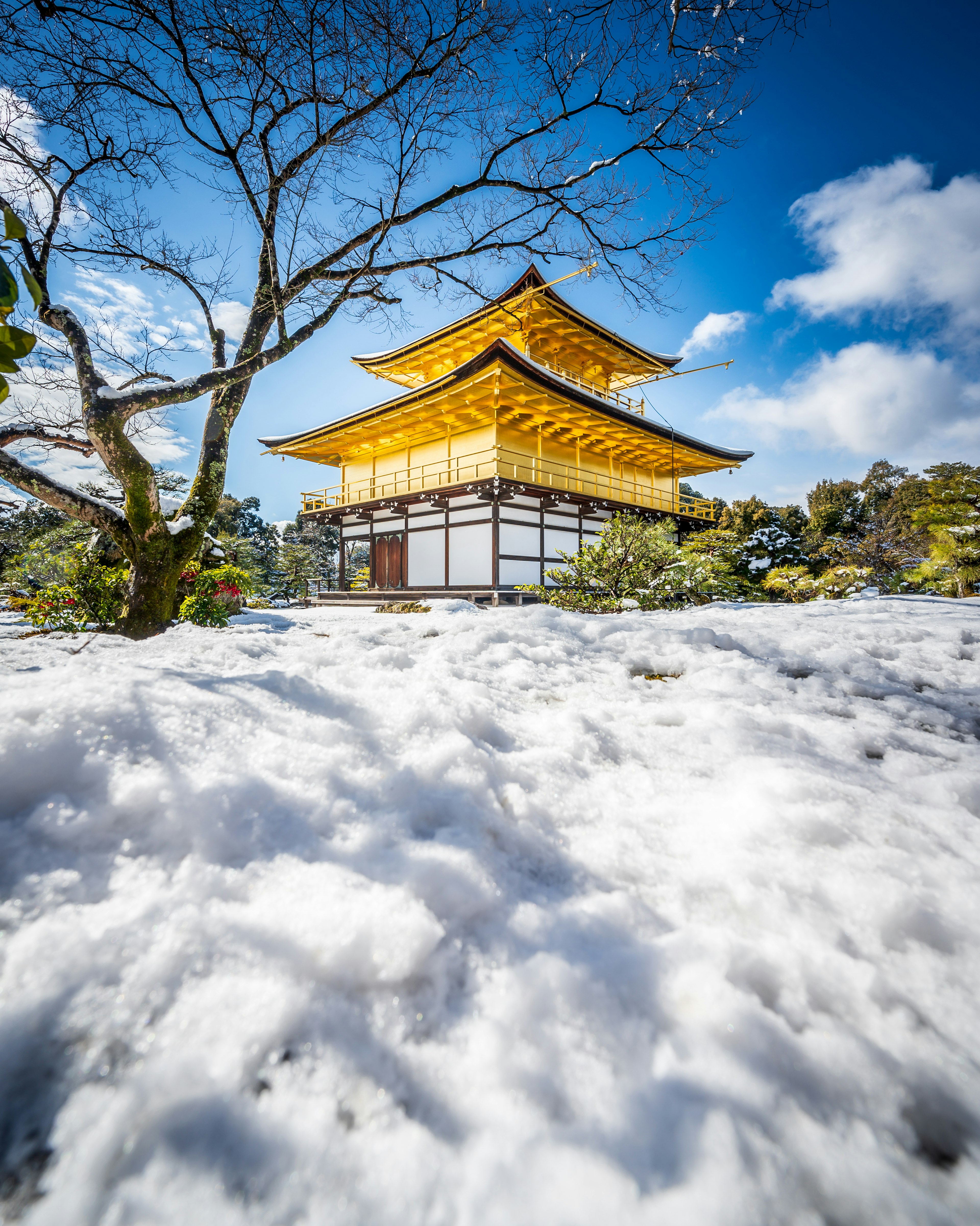 Pemandangan indah Kinkaku-ji yang tertutup salju