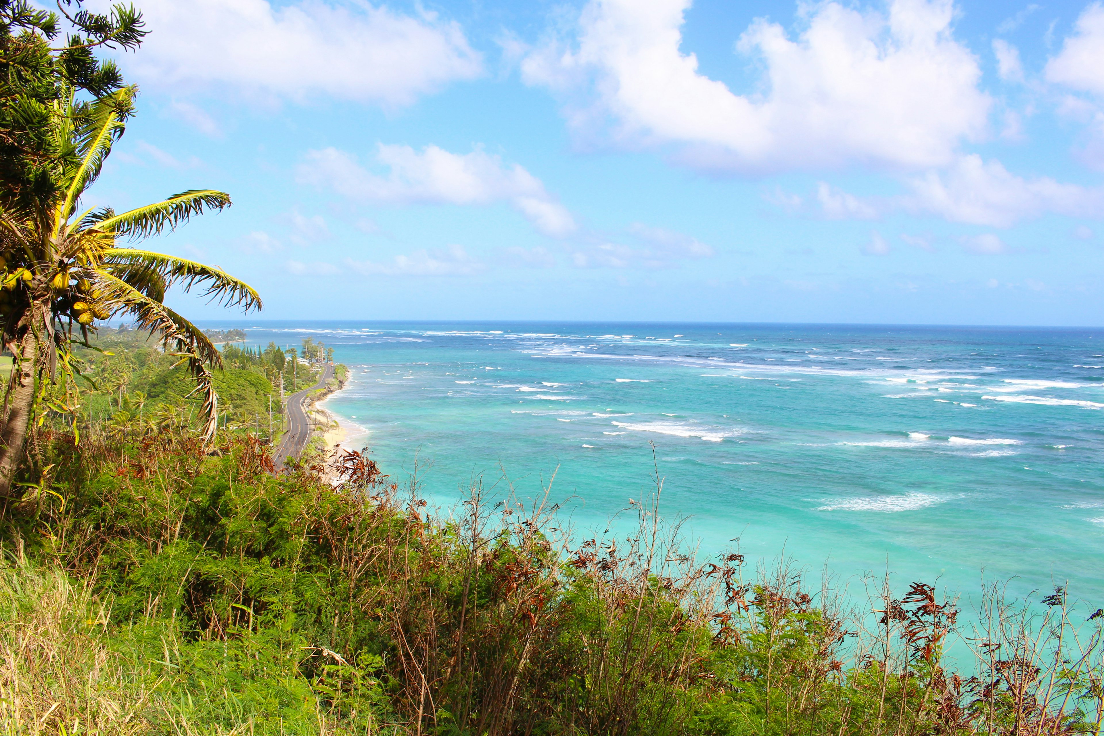 Bellissimo paesaggio dell'oceano blu e delle onde bianche vegetazione verde e cielo blu