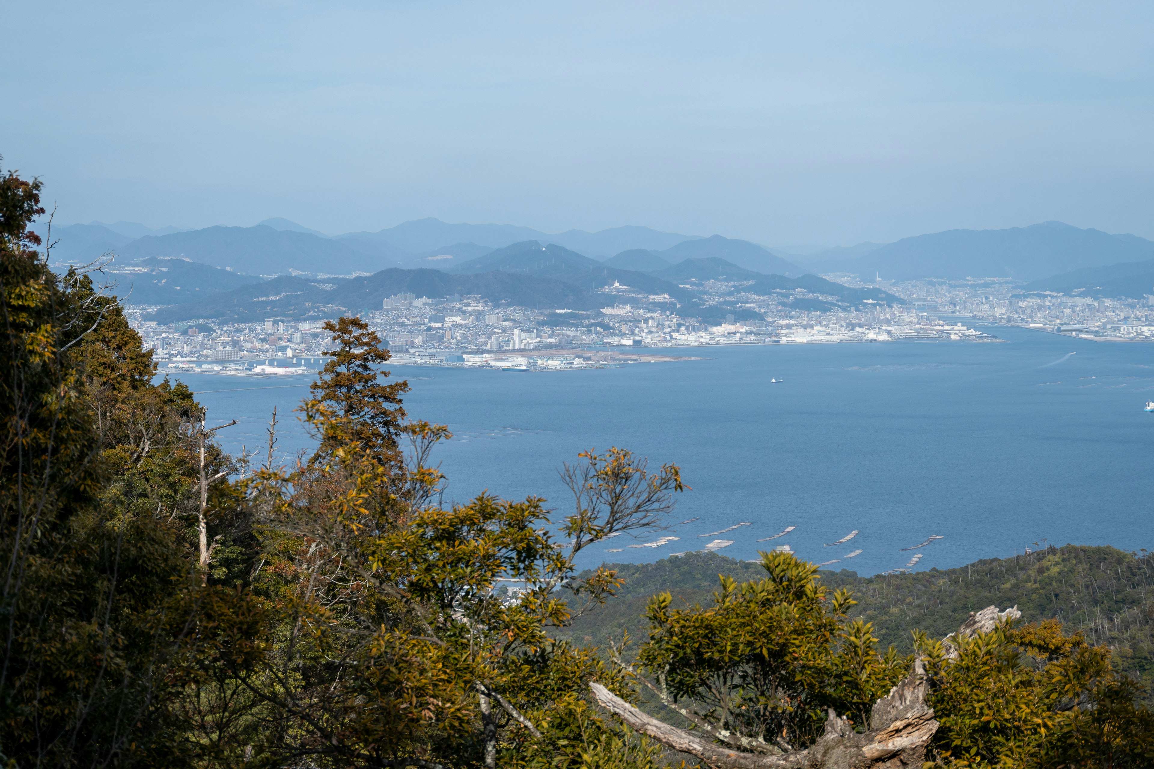 從山上俯瞰海洋和城市的美景