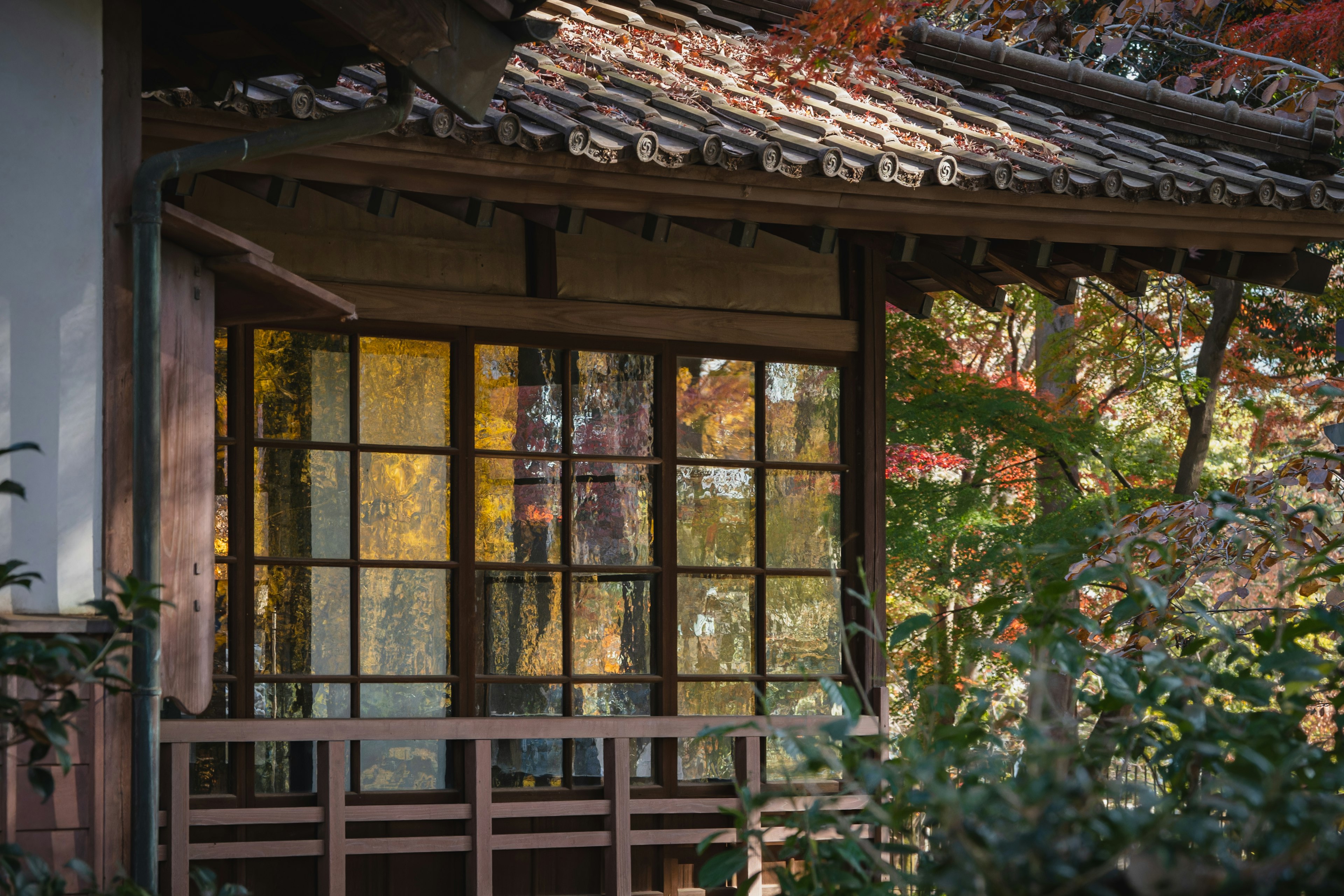 Jendela rumah Jepang kayu dengan pemandangan kebun