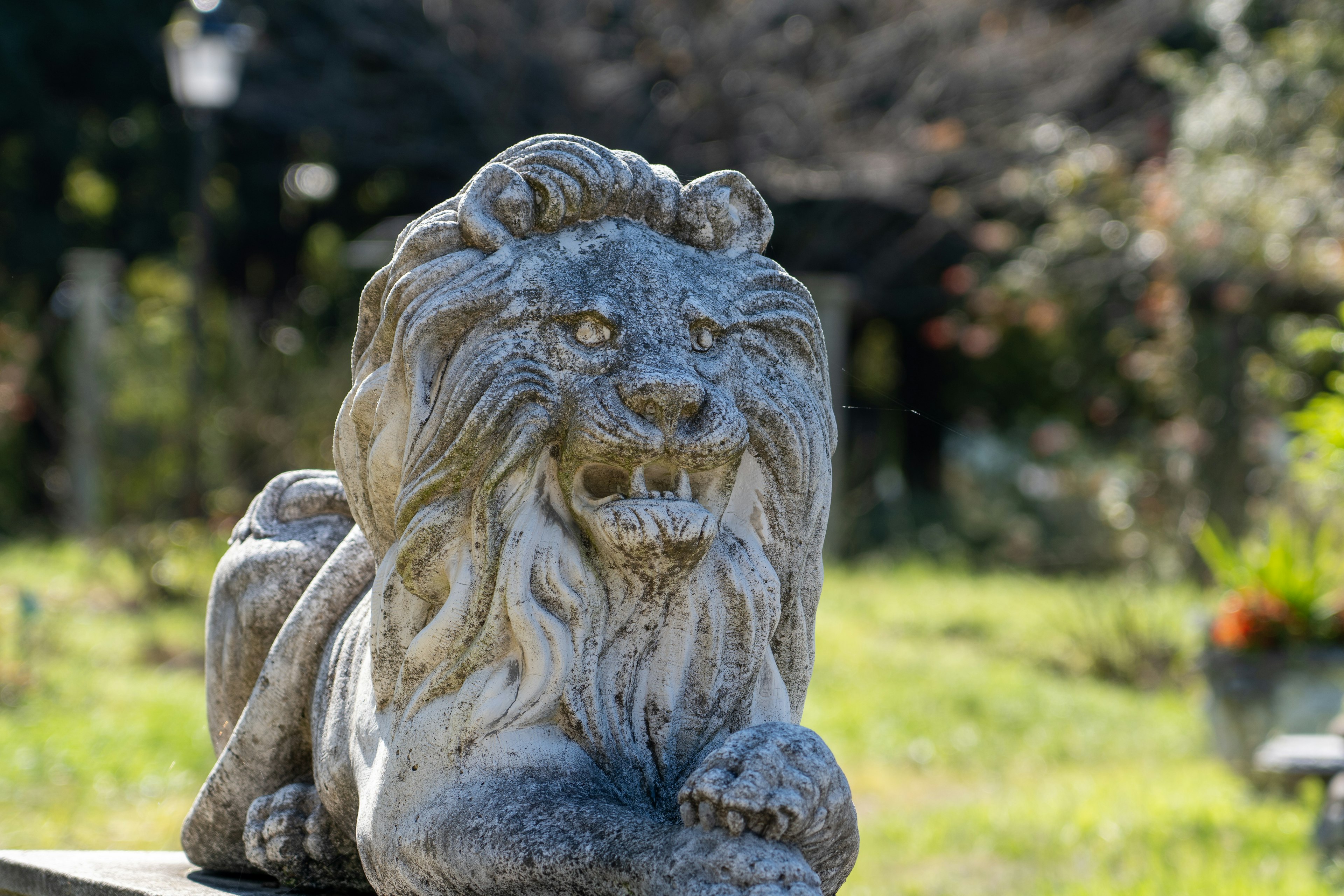 Statua di leone in pietra sdraiata su uno sfondo verde