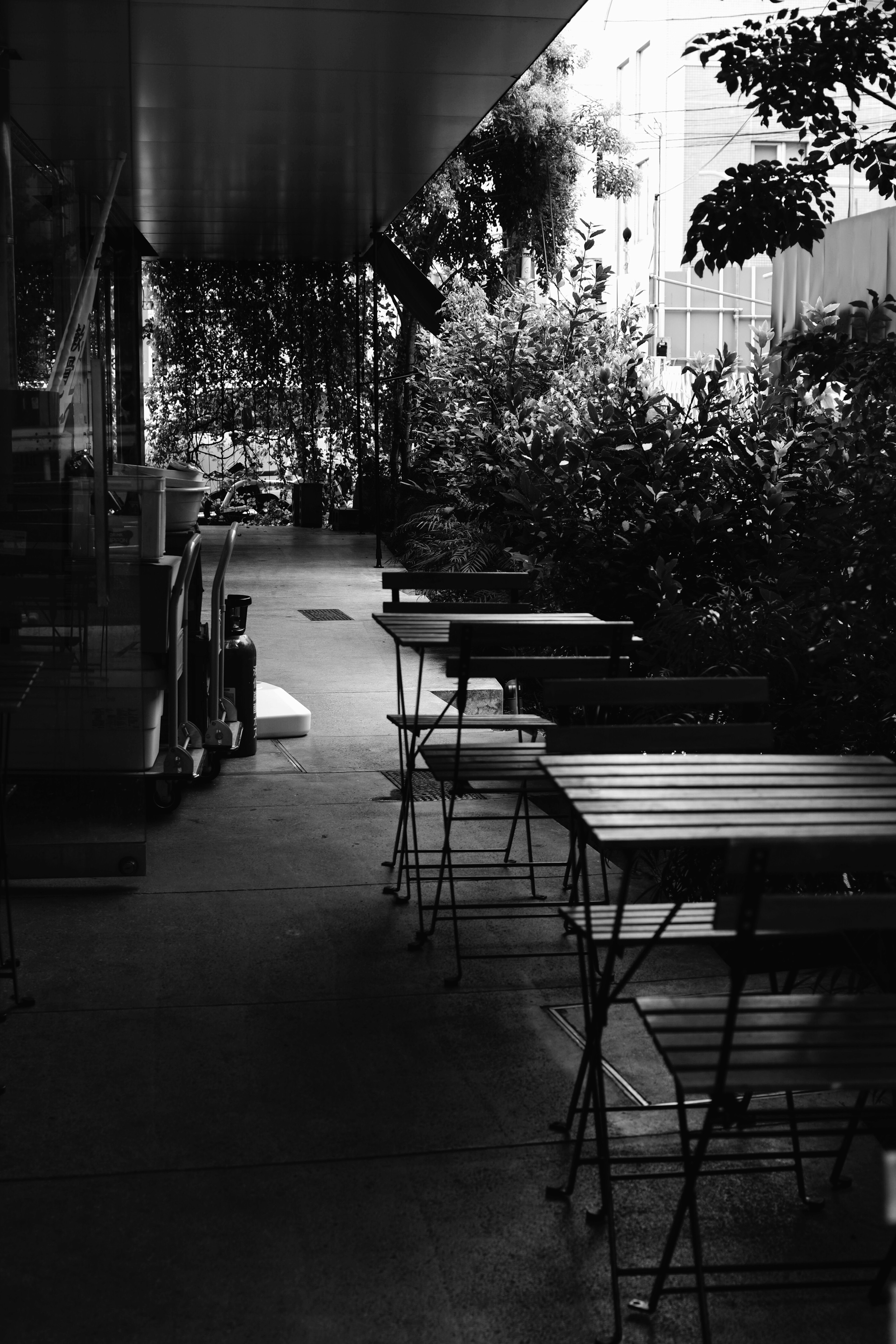 Black and white view of café terrace with tables and greenery