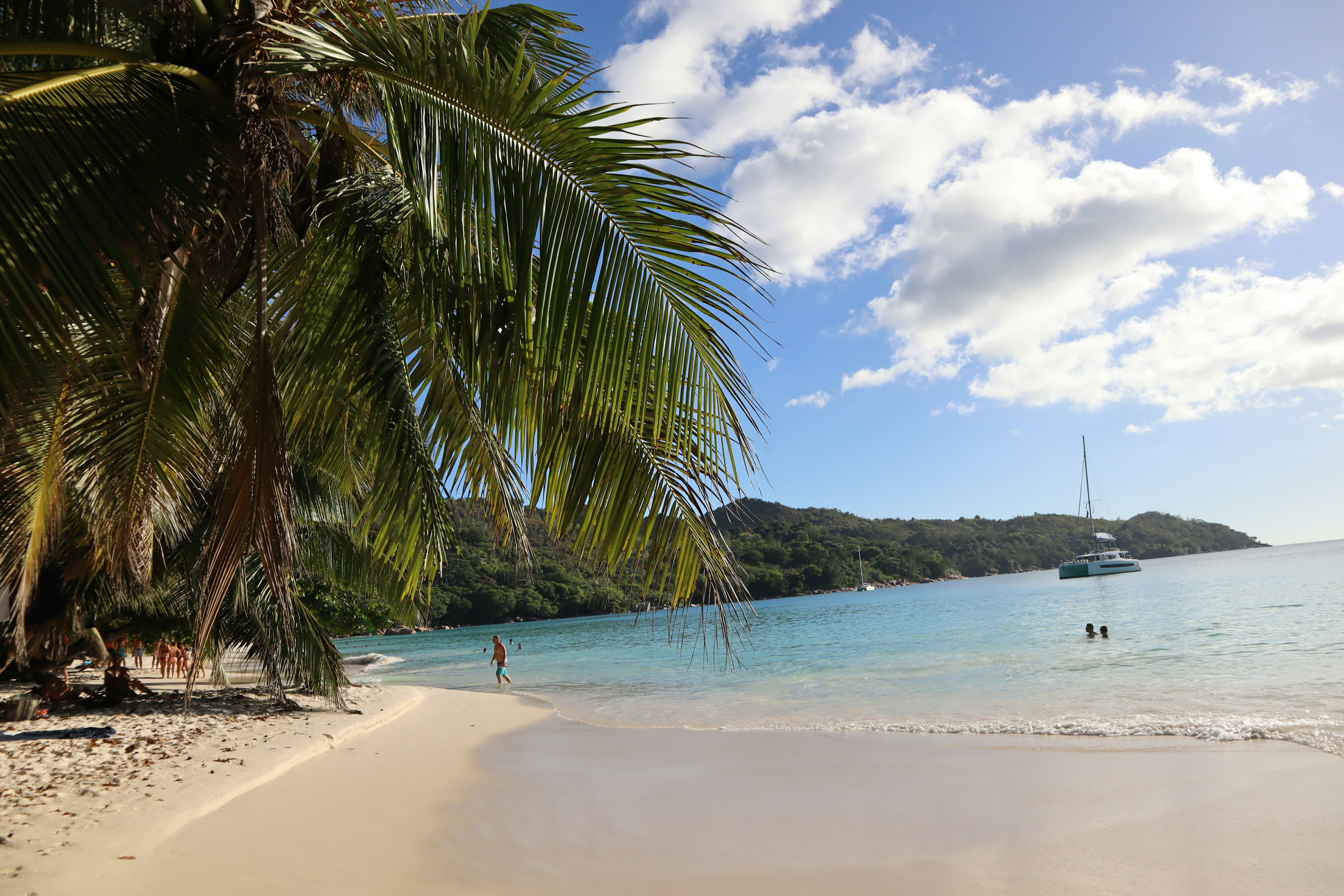 Scène de plage avec des palmiers et une eau claire sous un ciel ensoleillé